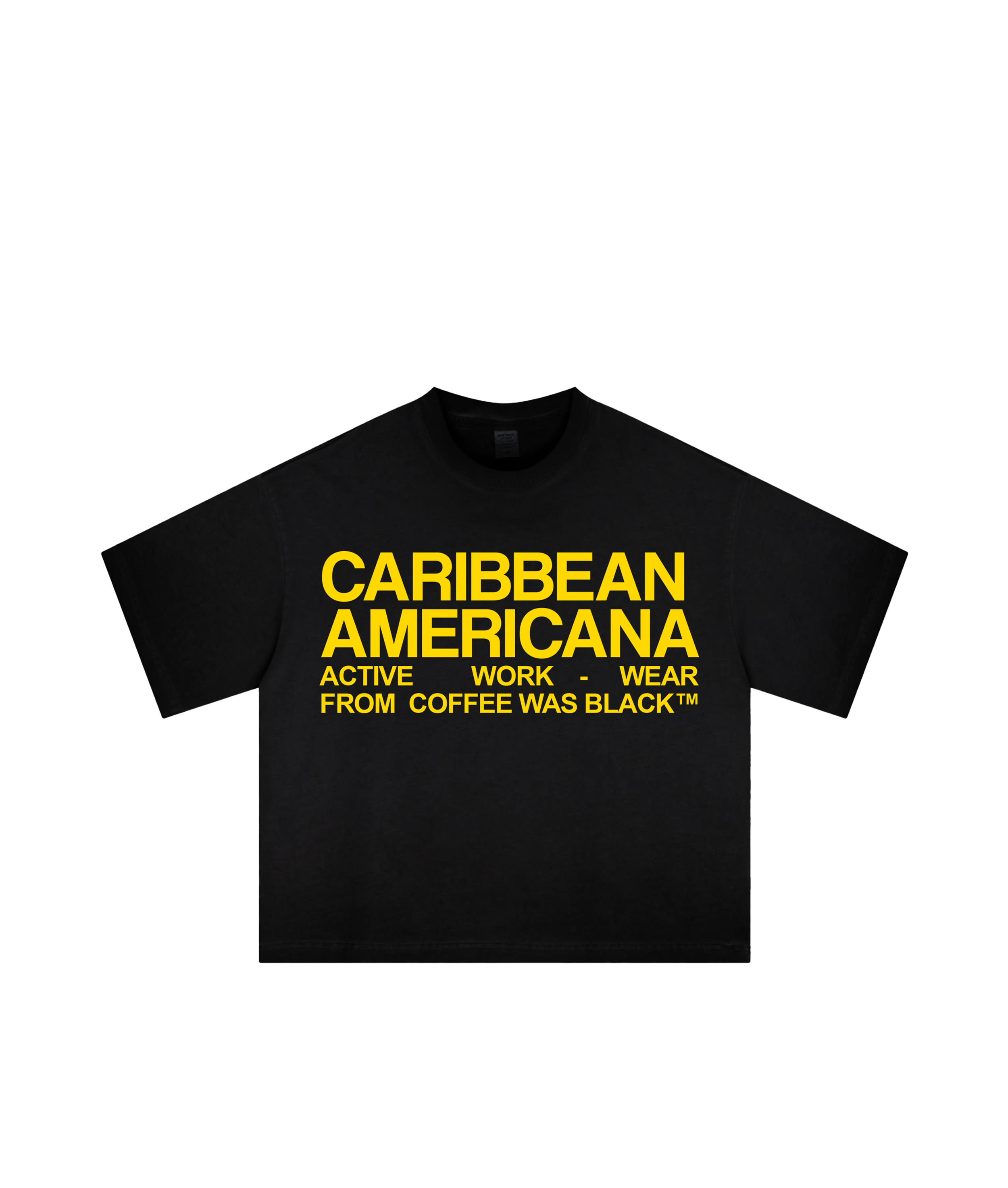 cameri tee 2b.png