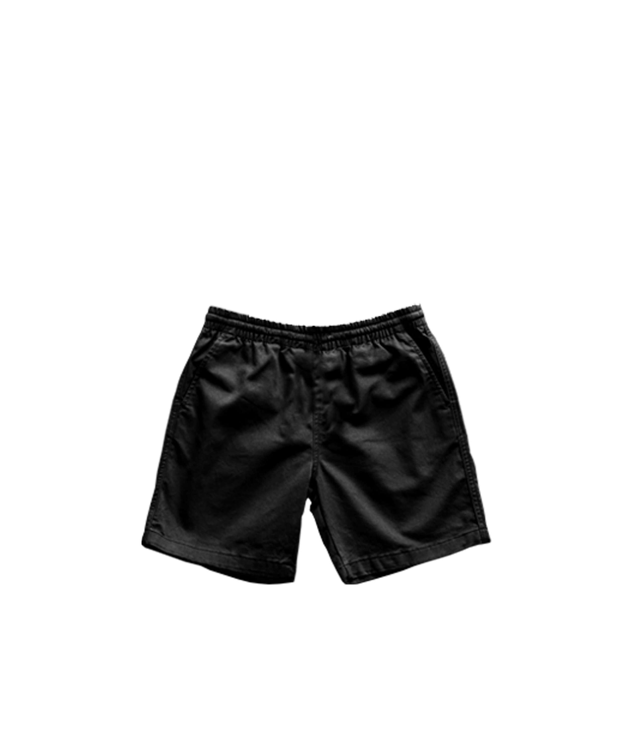 active shorts bl2.png