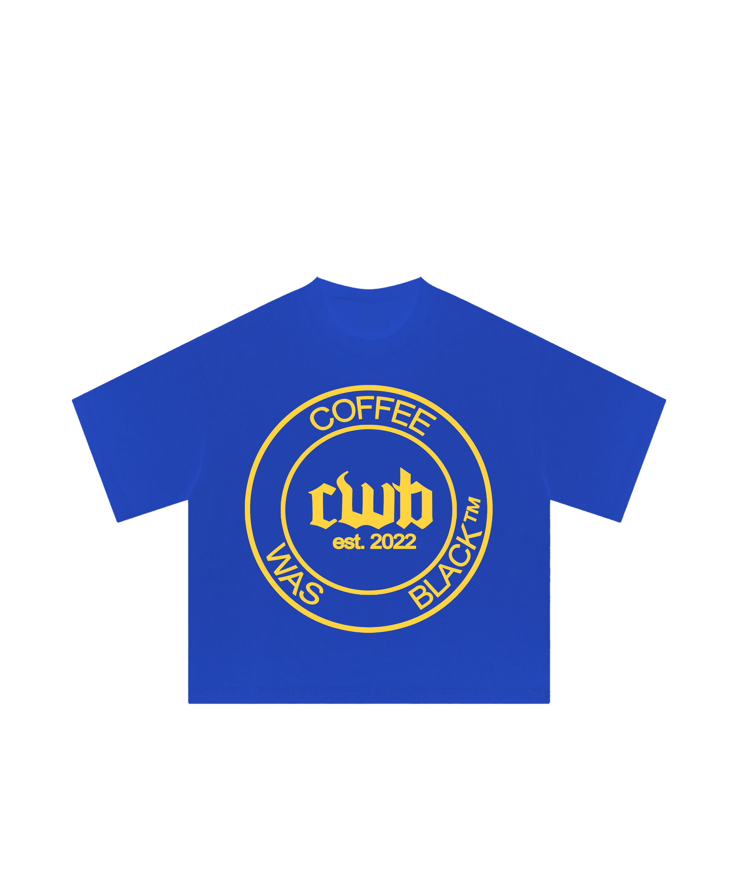 CWB blue tee b.png