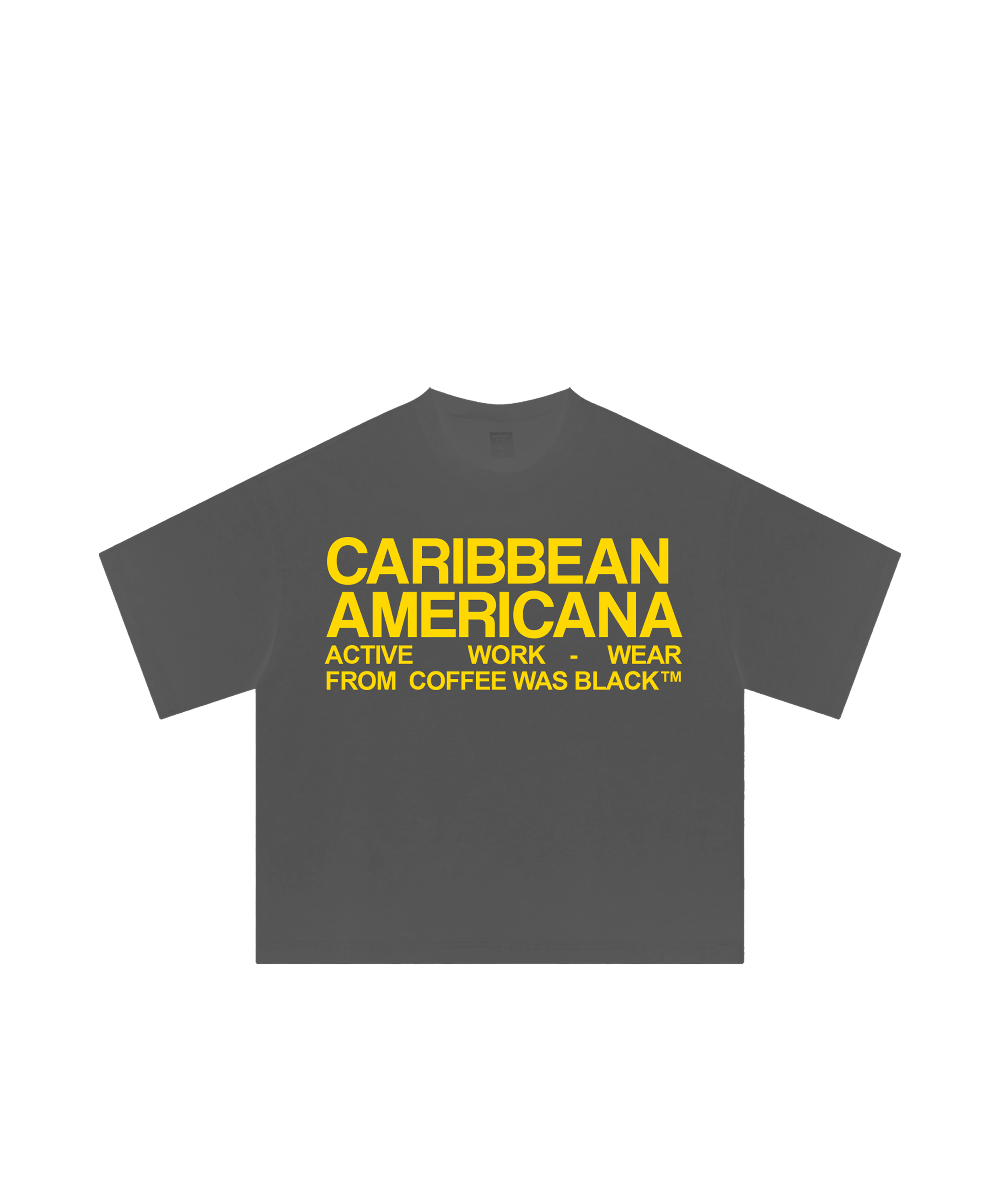 cameri tee 1b.png