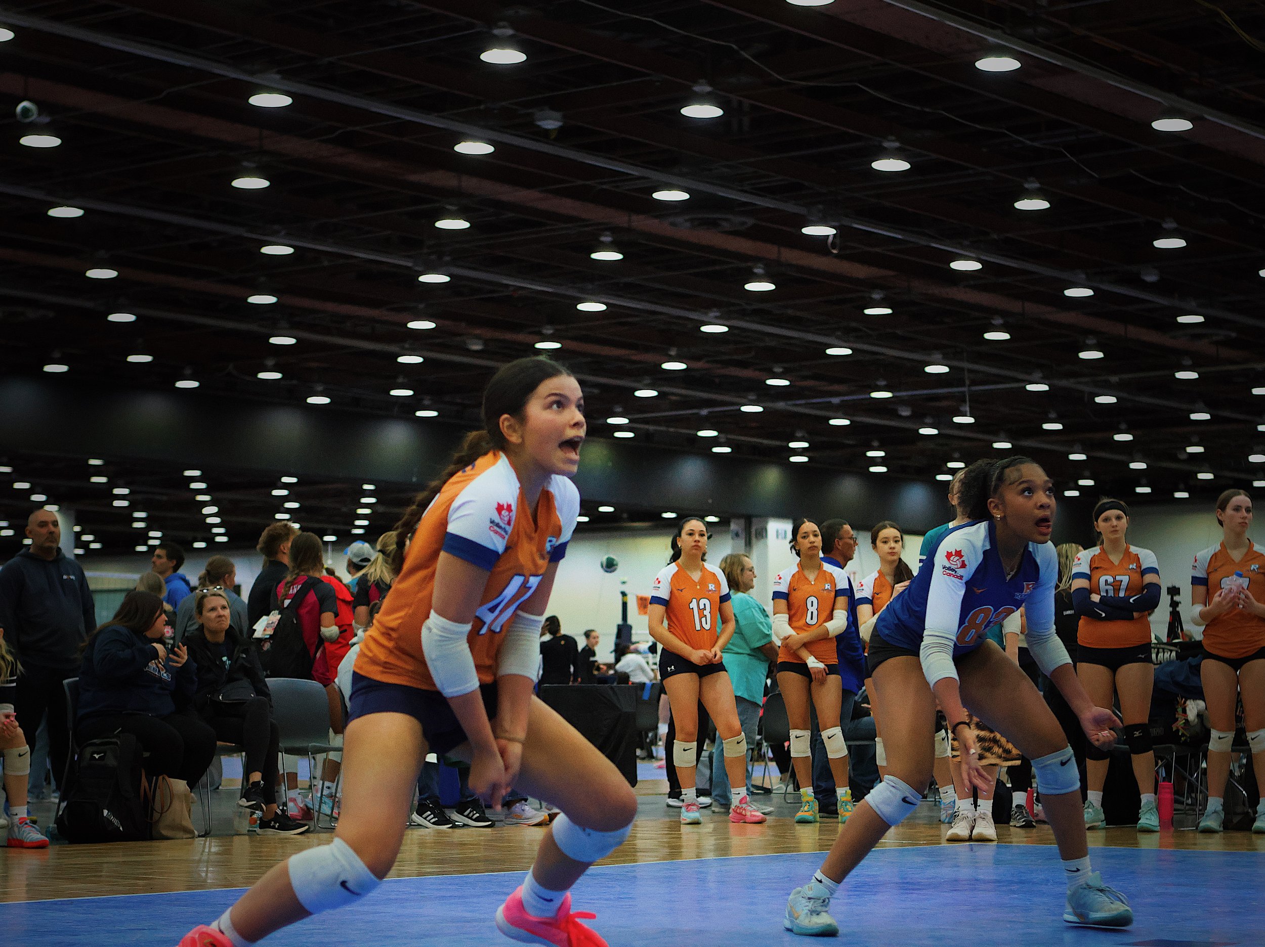 1360CBDB-48BC-4698-99BE-D1607A4518F4.jpg