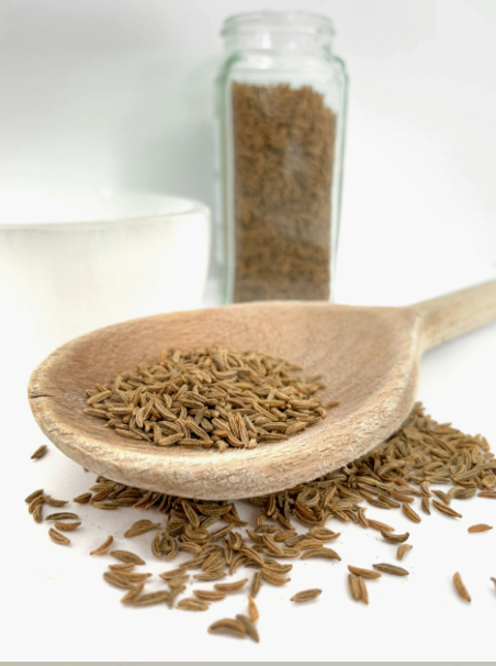 Plant Spirit Meditation with Fennel