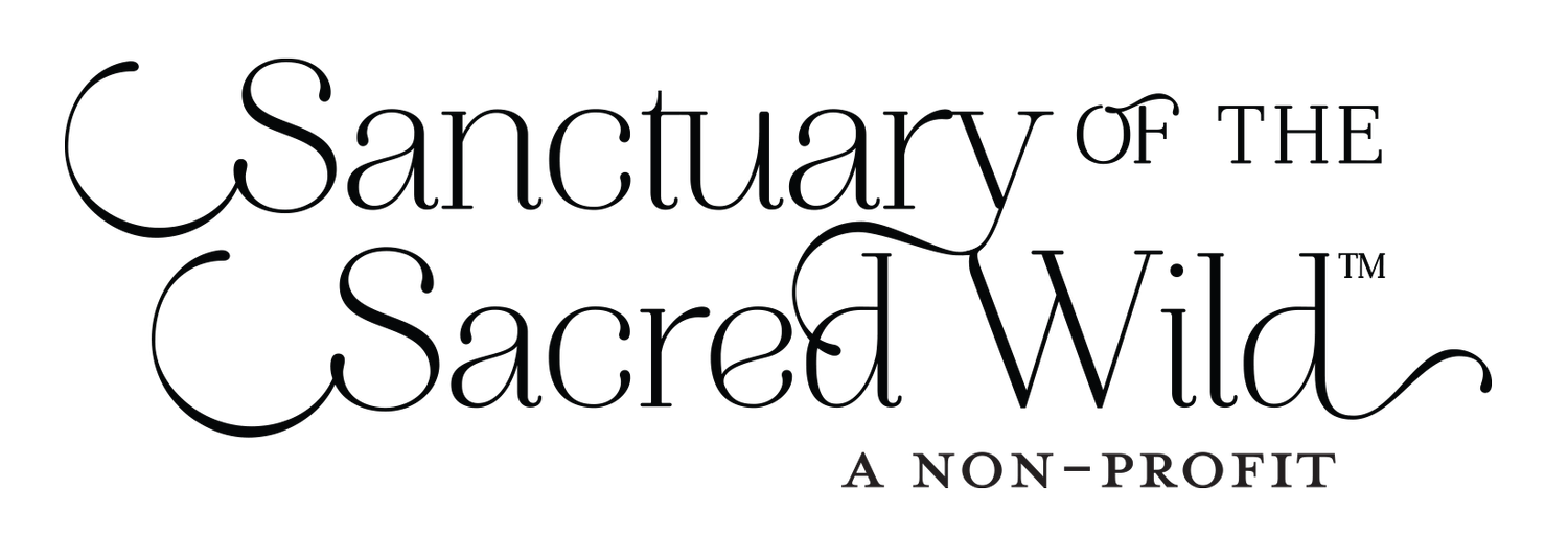Sanctuary of the Sacred Wild ~ a Non-Profit
