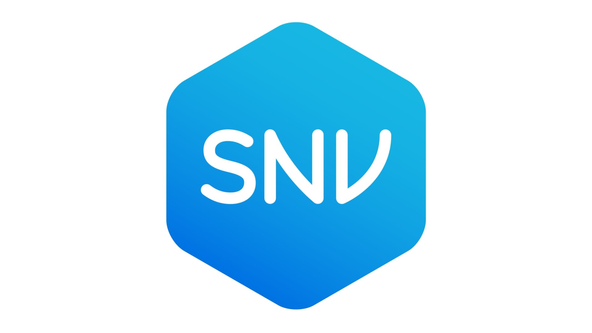 Netherlands Development Organisation (SNV)