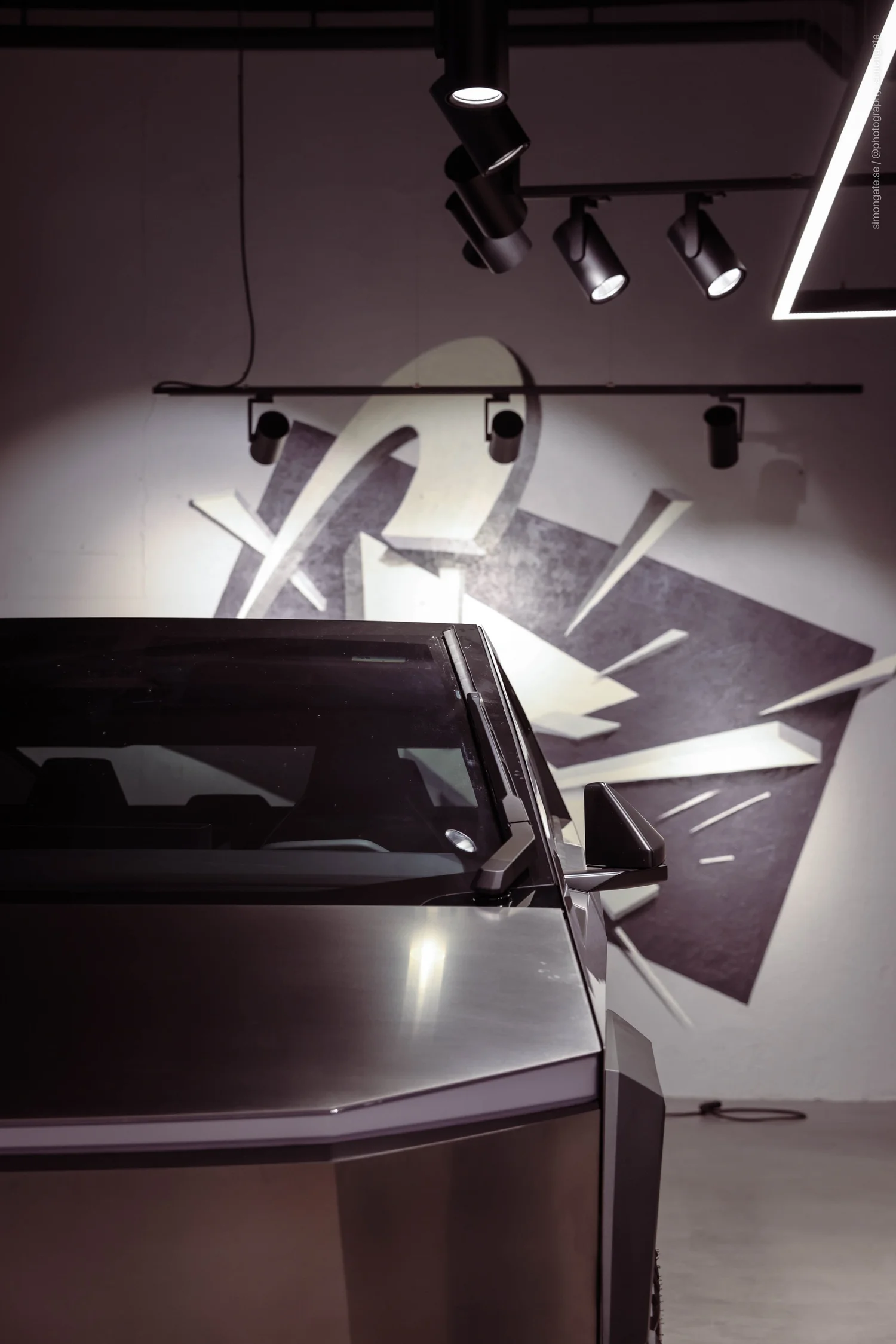 Tesla in front of a black-and-white graffiti wall