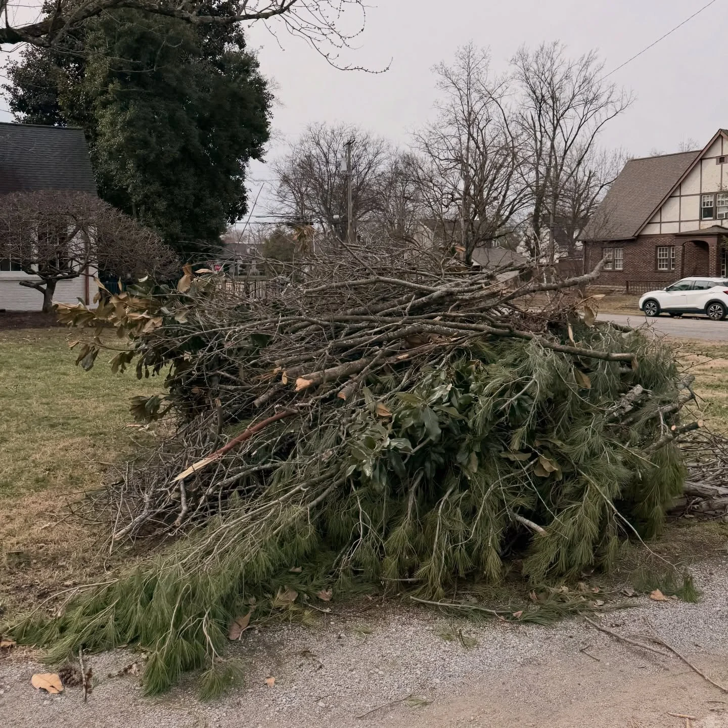 The aftermath of the ice storm is pretty dang depressing. We were out of town when it hit Nashville. Luckily our house had a generator so we had a house full of friends riding out the storm until power was restored. It&rsquo;s been so sad driving aro