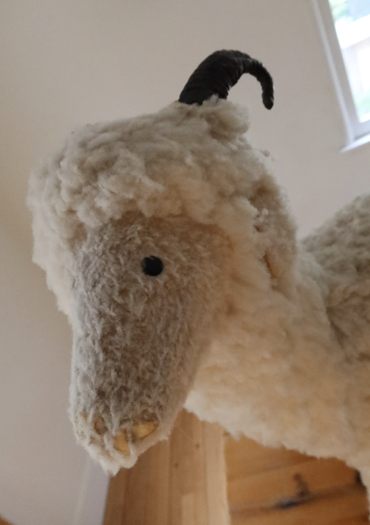 Screen Shot 2026-02-10 at 11.37.11 AM.png