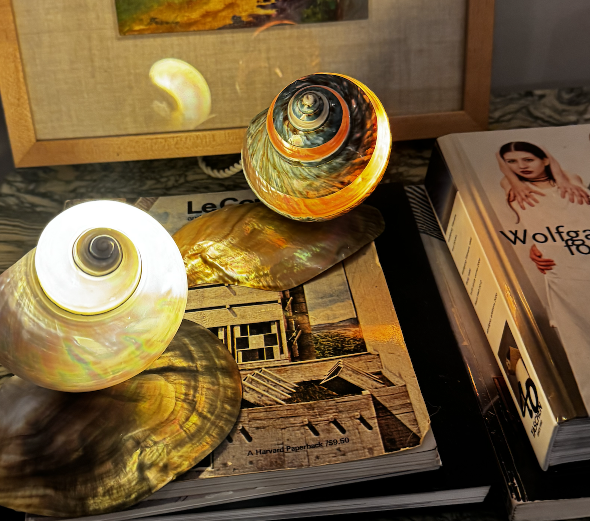 Screen Shot 2026-04-14 at 7.57.55 AM.png