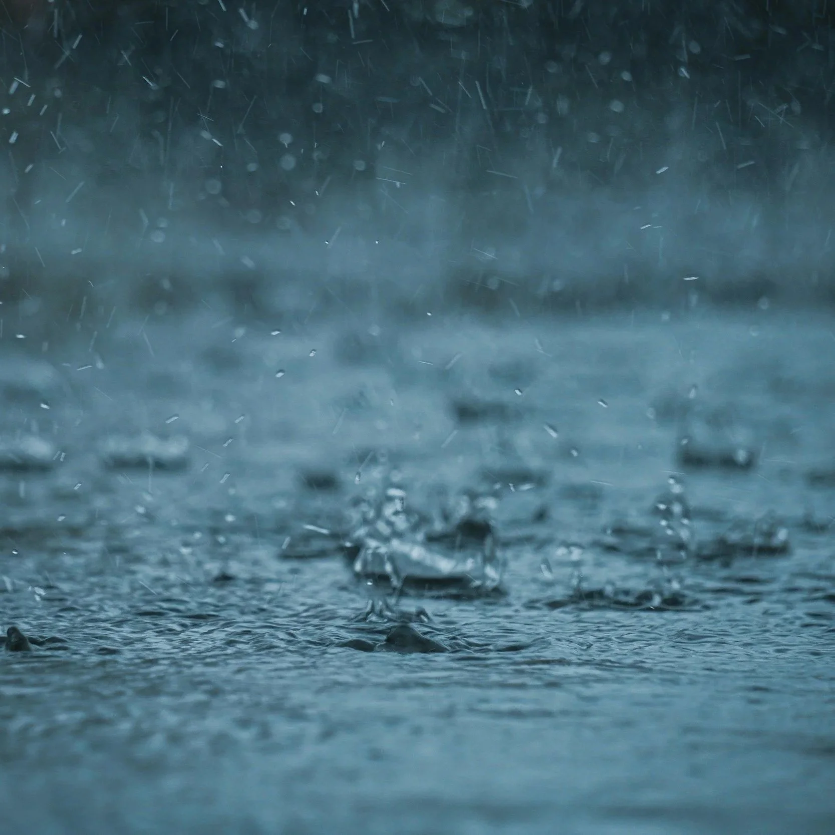 Are You Prepared for Arizona’s Monsoon Season?