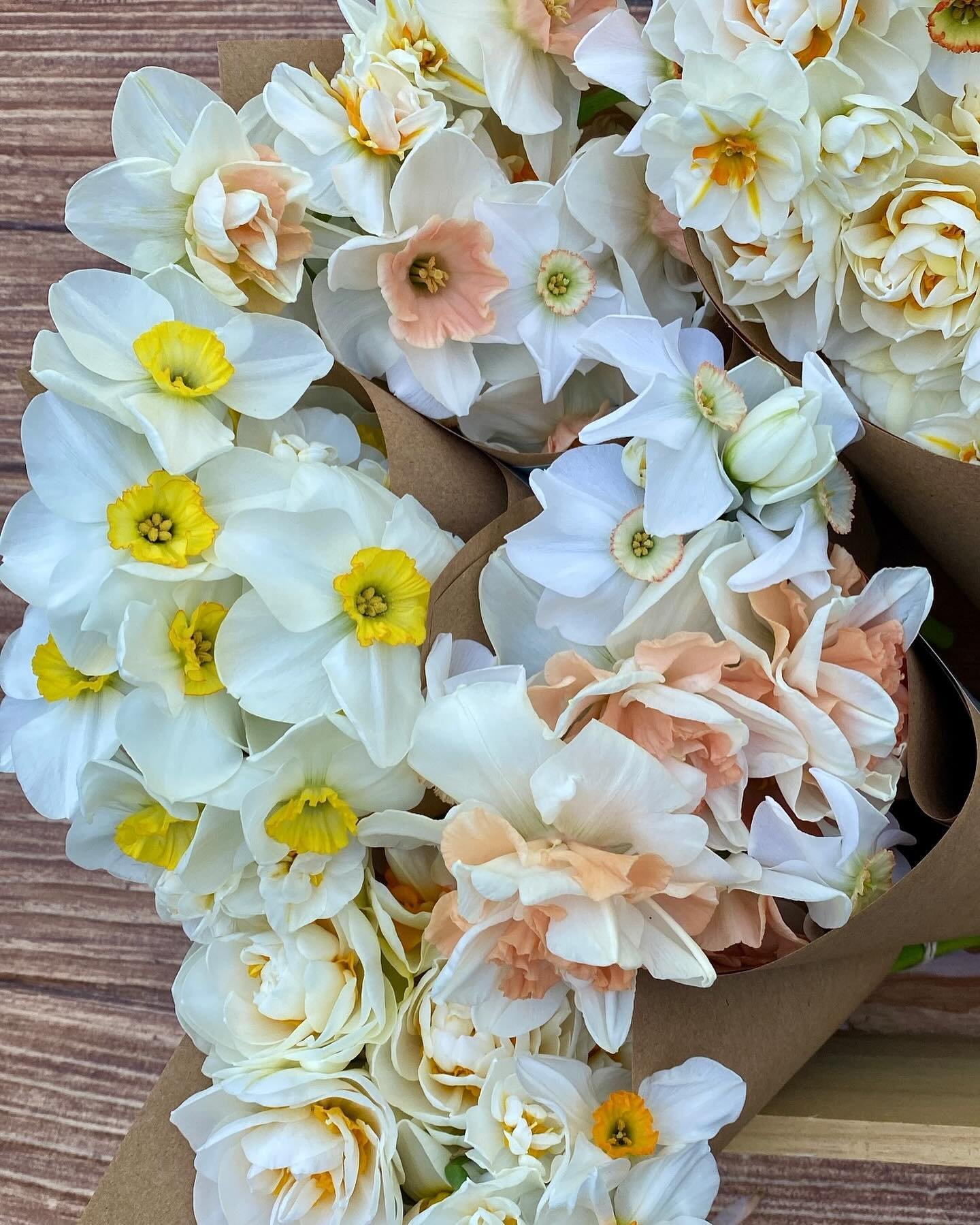 We have just a few of these homegrown cutie bunches of narcissus left before they&rsquo;ll be done for the season. They smell incredible! 

🌼$15 Narcissus Bunches 
🌼Reserve for pickup: Friday-Saturday | 4/26-4/27 
🌼Cedar Rose Porch Pickup - Carmel