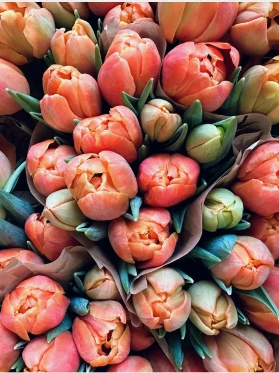 Tulips.jpg