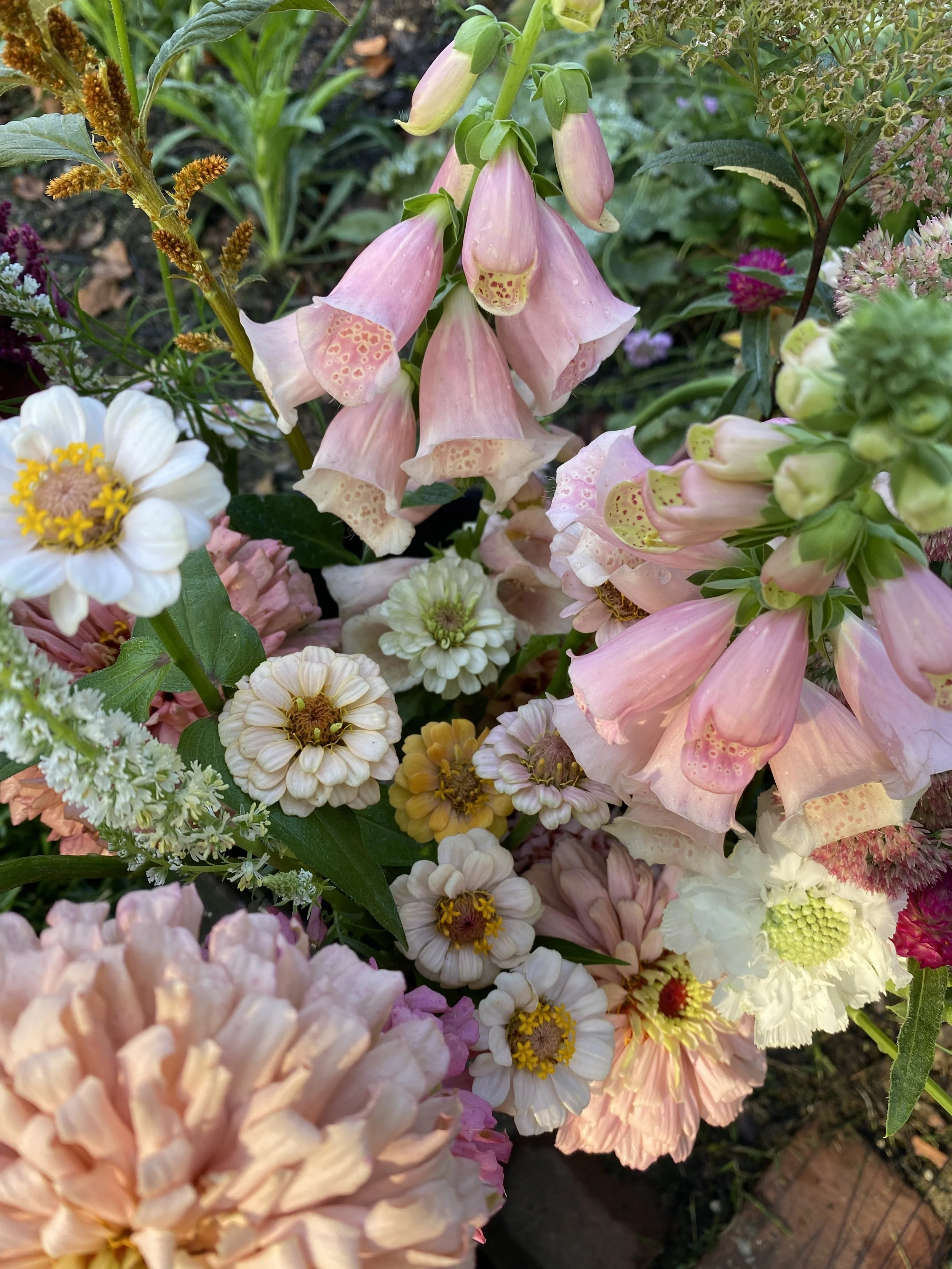 Close-up of various colorful flowers, including pink, white, and yellow blossoms, with green foliage in the background.
