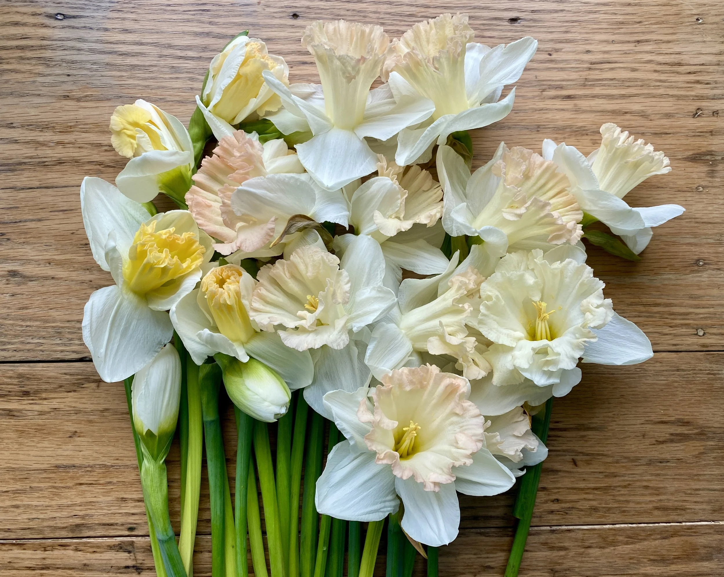 A bouquet of white and pale peach and yellow gladiolus flowers on a wooden surface.