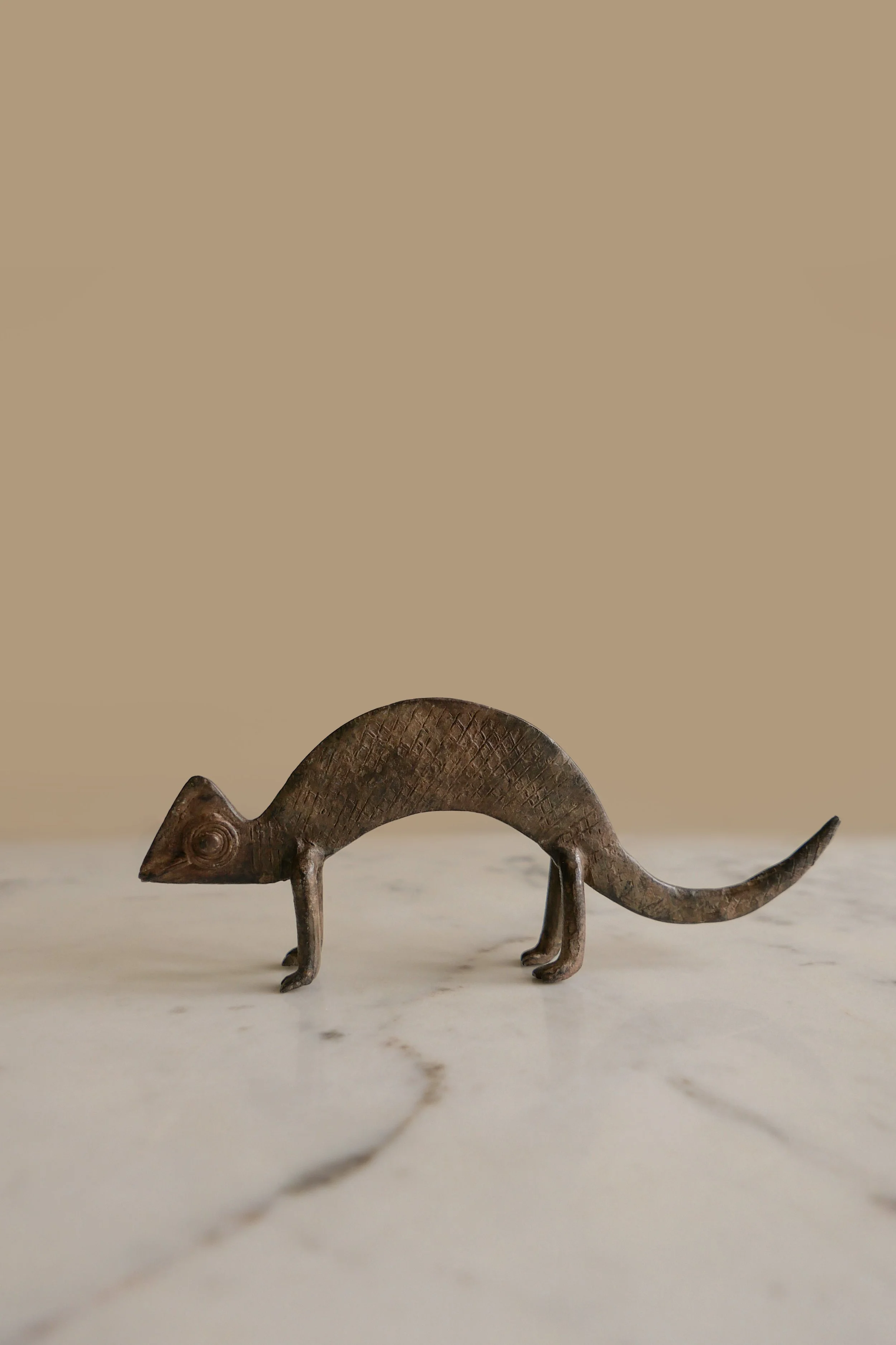 small chameleon 2.jpg