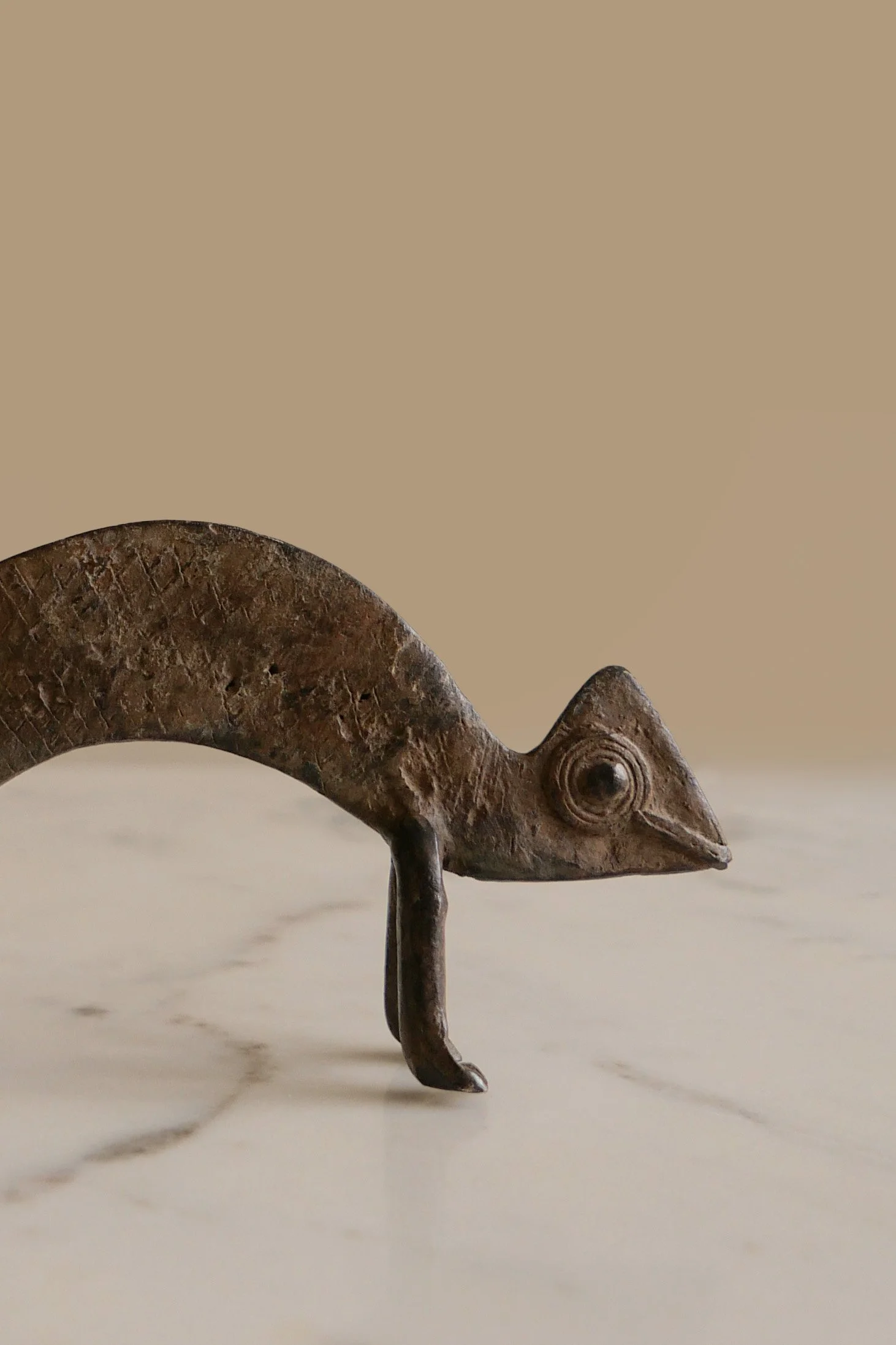 small chameleon 3.jpg