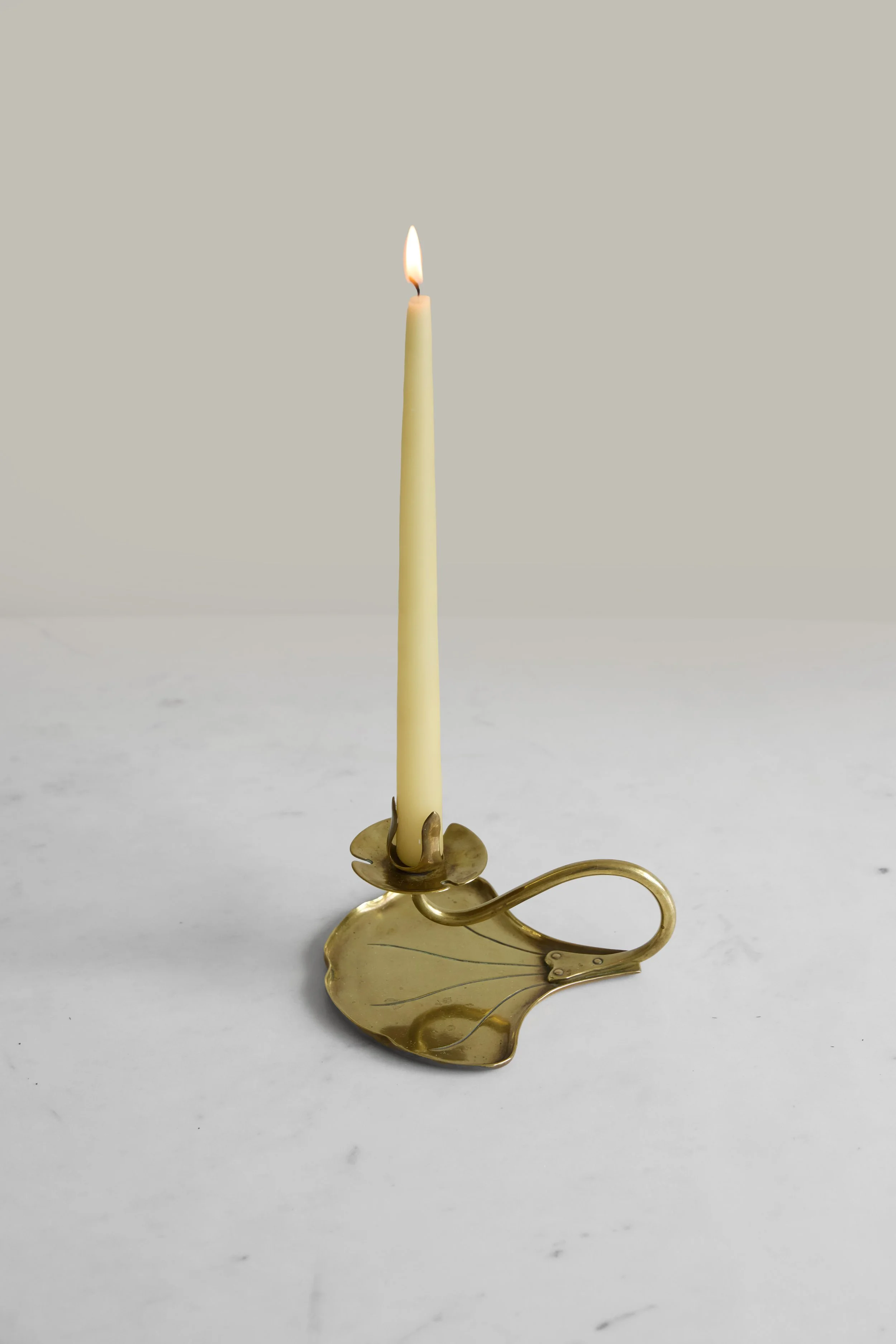 lily pad 5.jpg