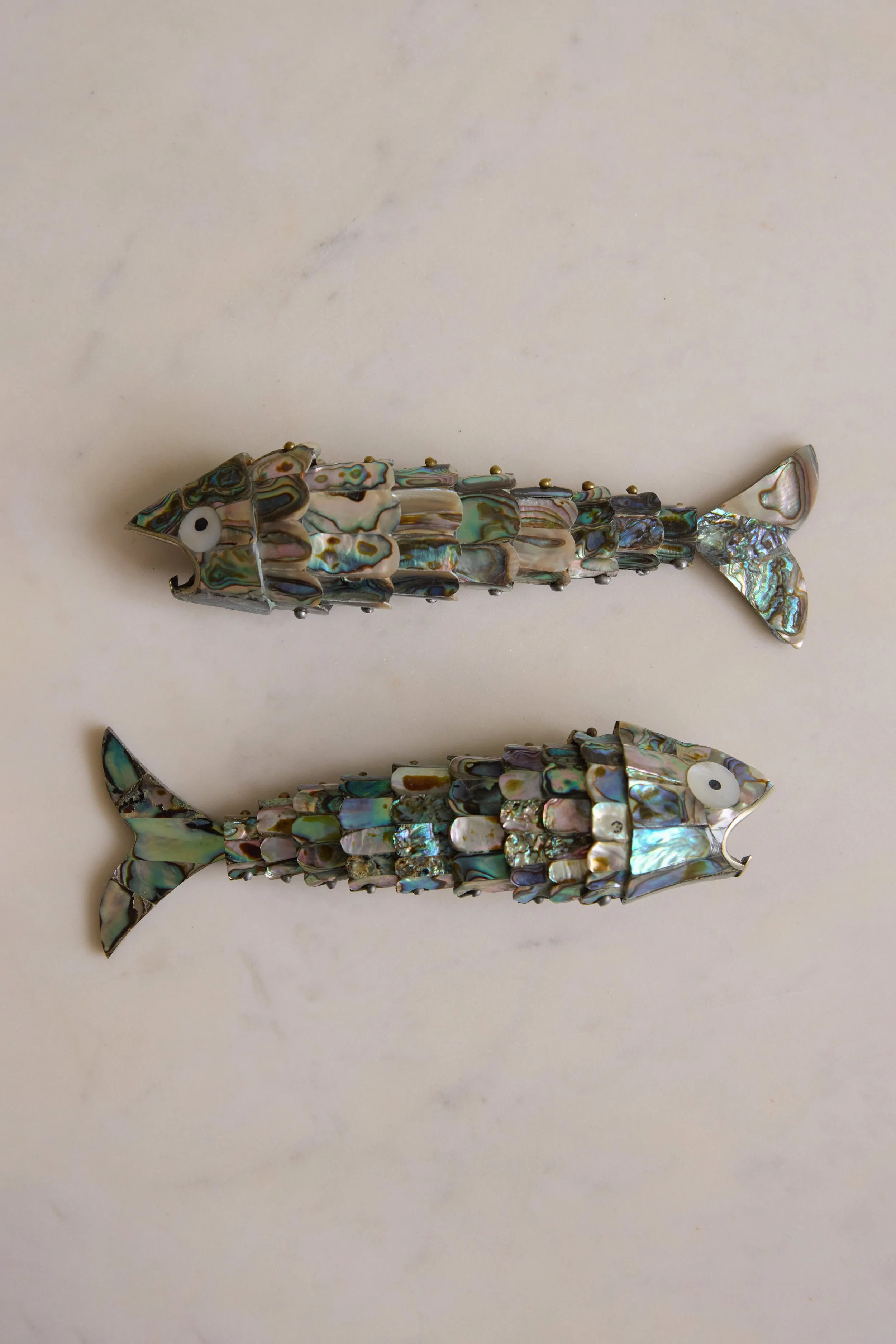 abalone fish double 2.jpg (Copy)