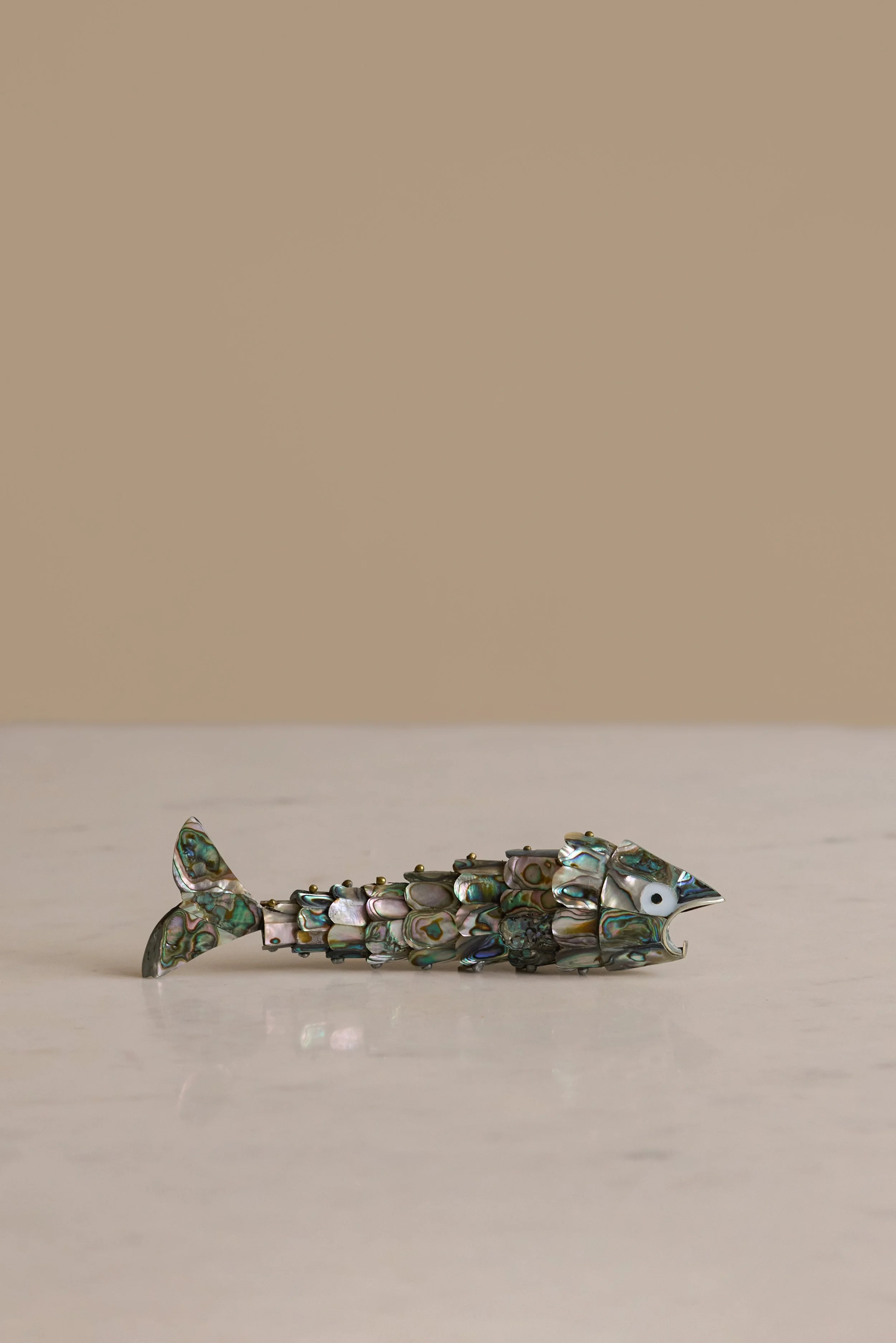 abalone fish 1 2.jpg