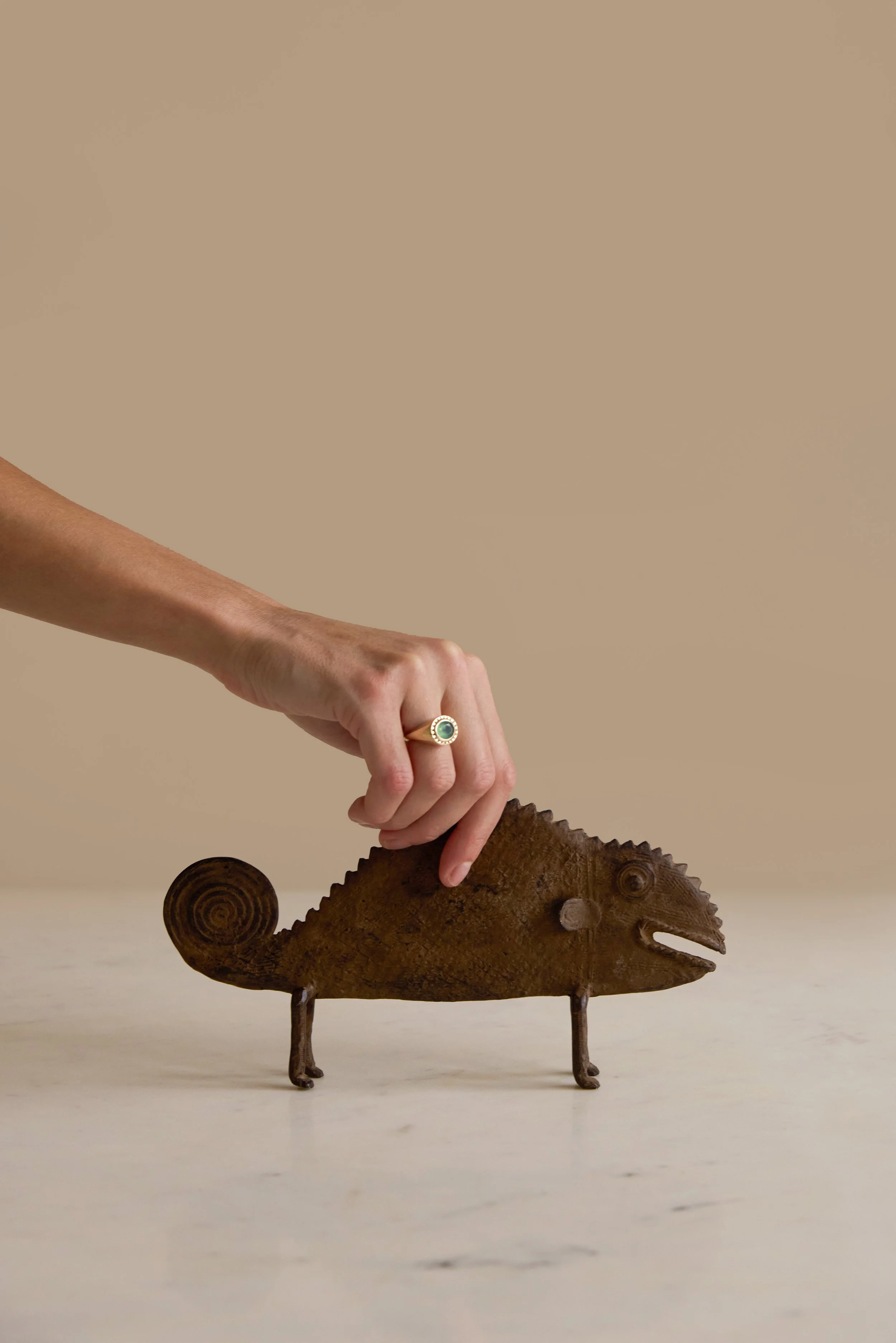 chameleon large 2.jpg