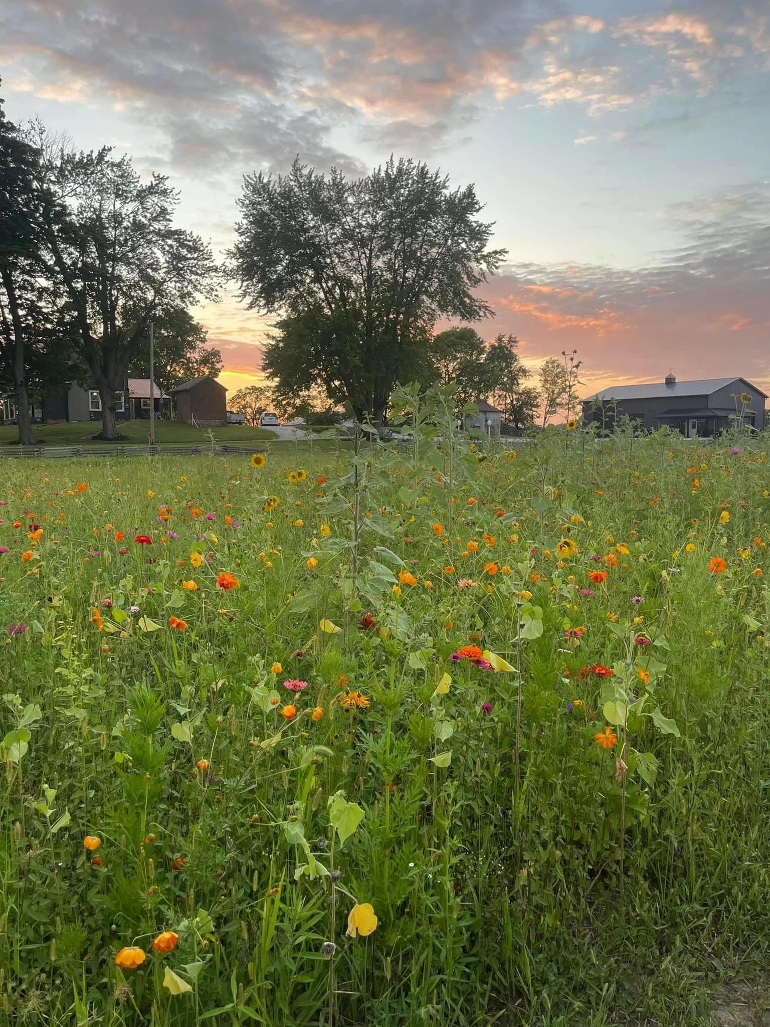 Drop by Coppertop Farm and Flowers
