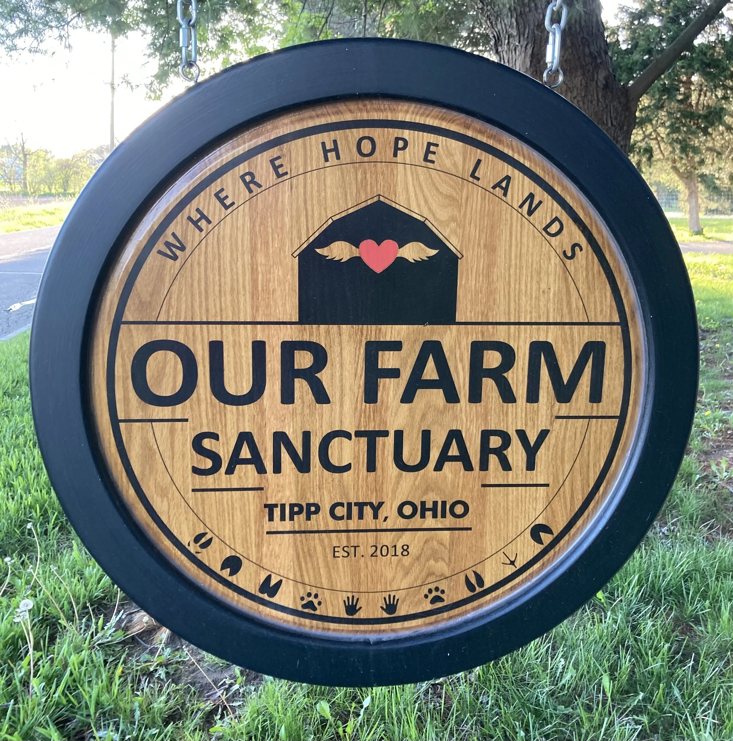 Our Farm Sanctuary…Where Hope Lands