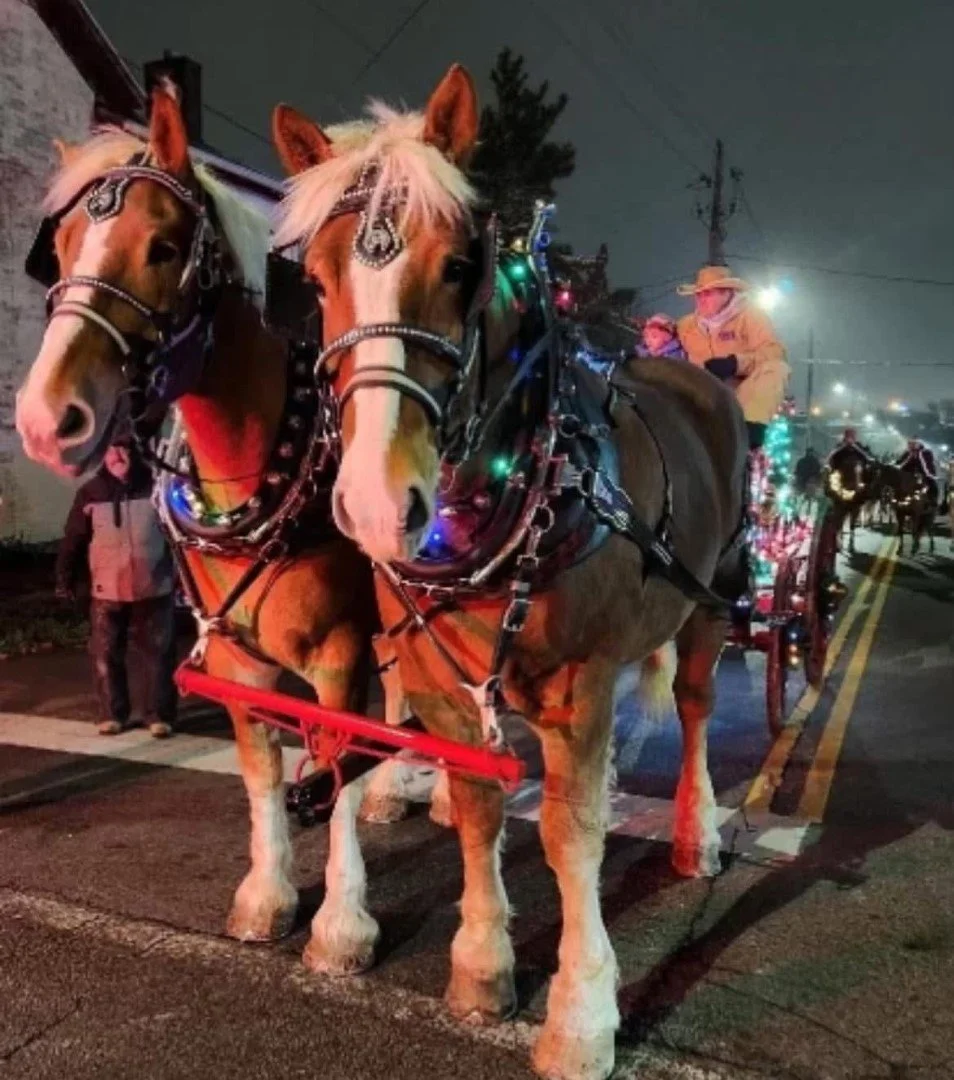 Yuletide Winters Gathering 1.jpeg