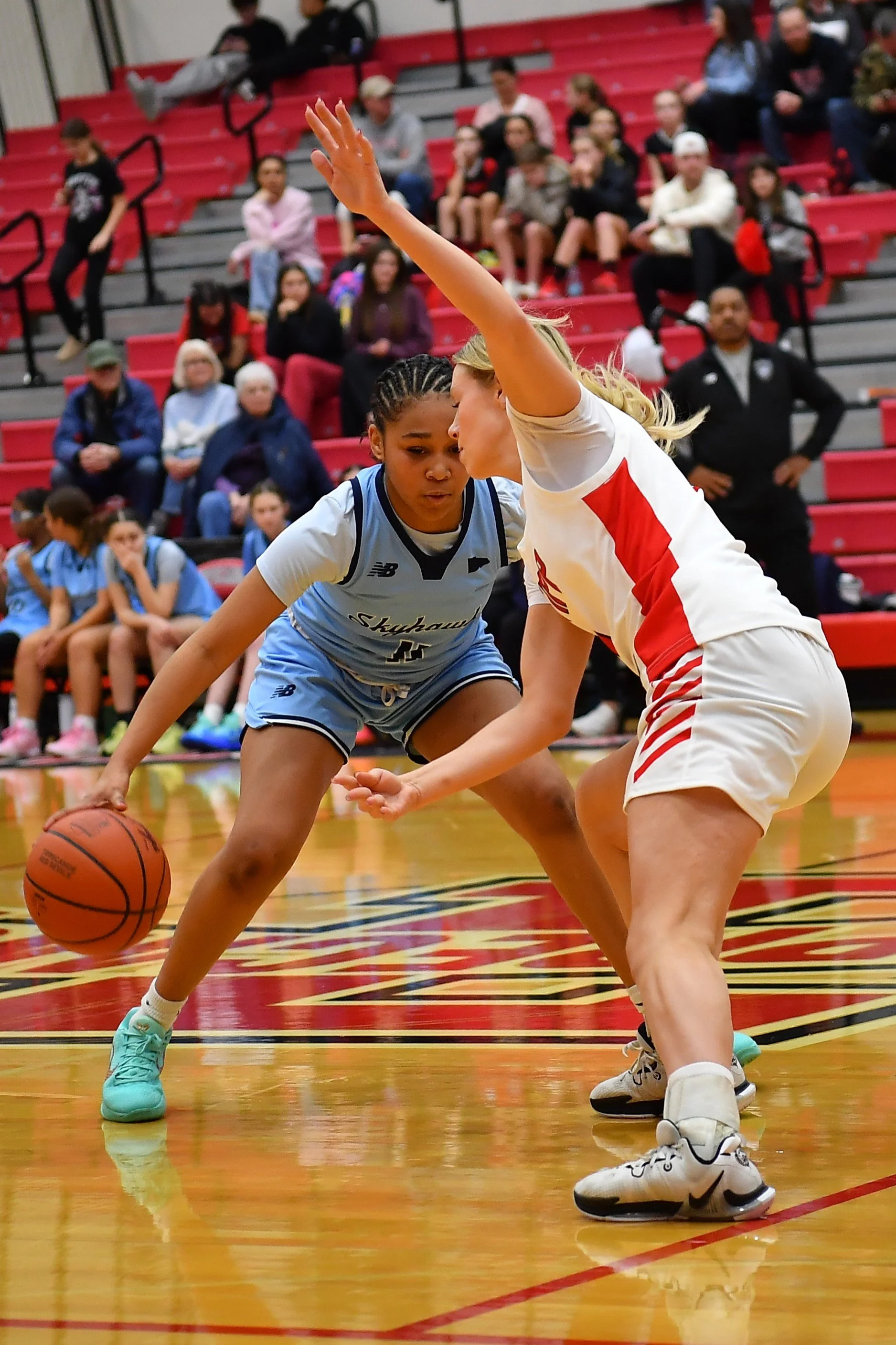 Girls Basketball3.JPG