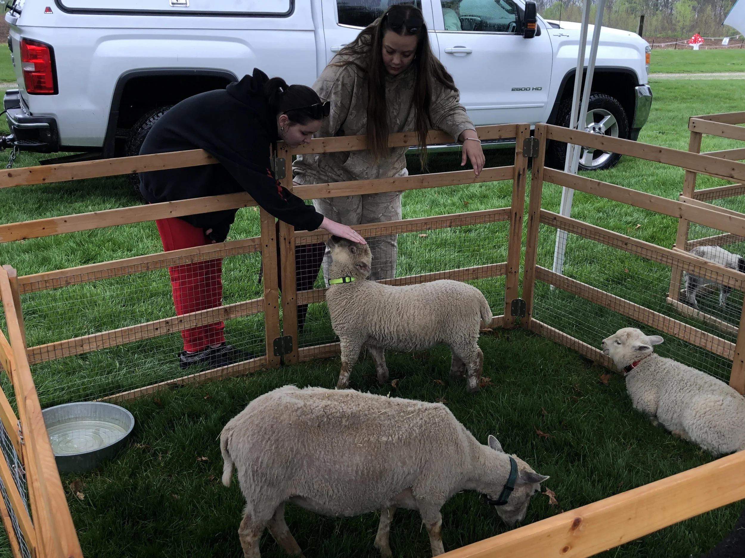 MCPD hosts annual Hug the Earth Festival