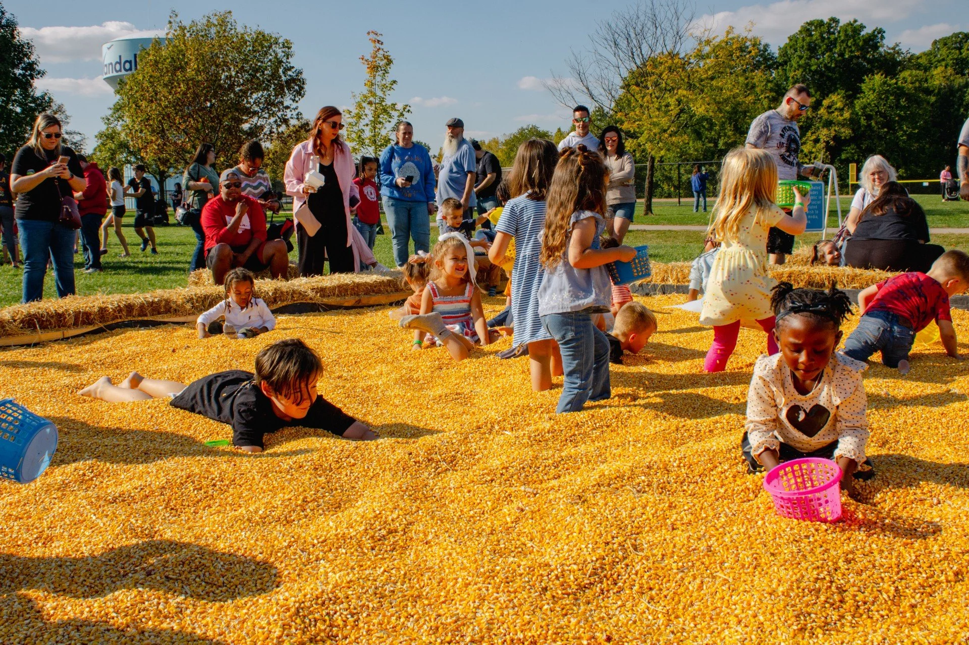 Fall is for festivals