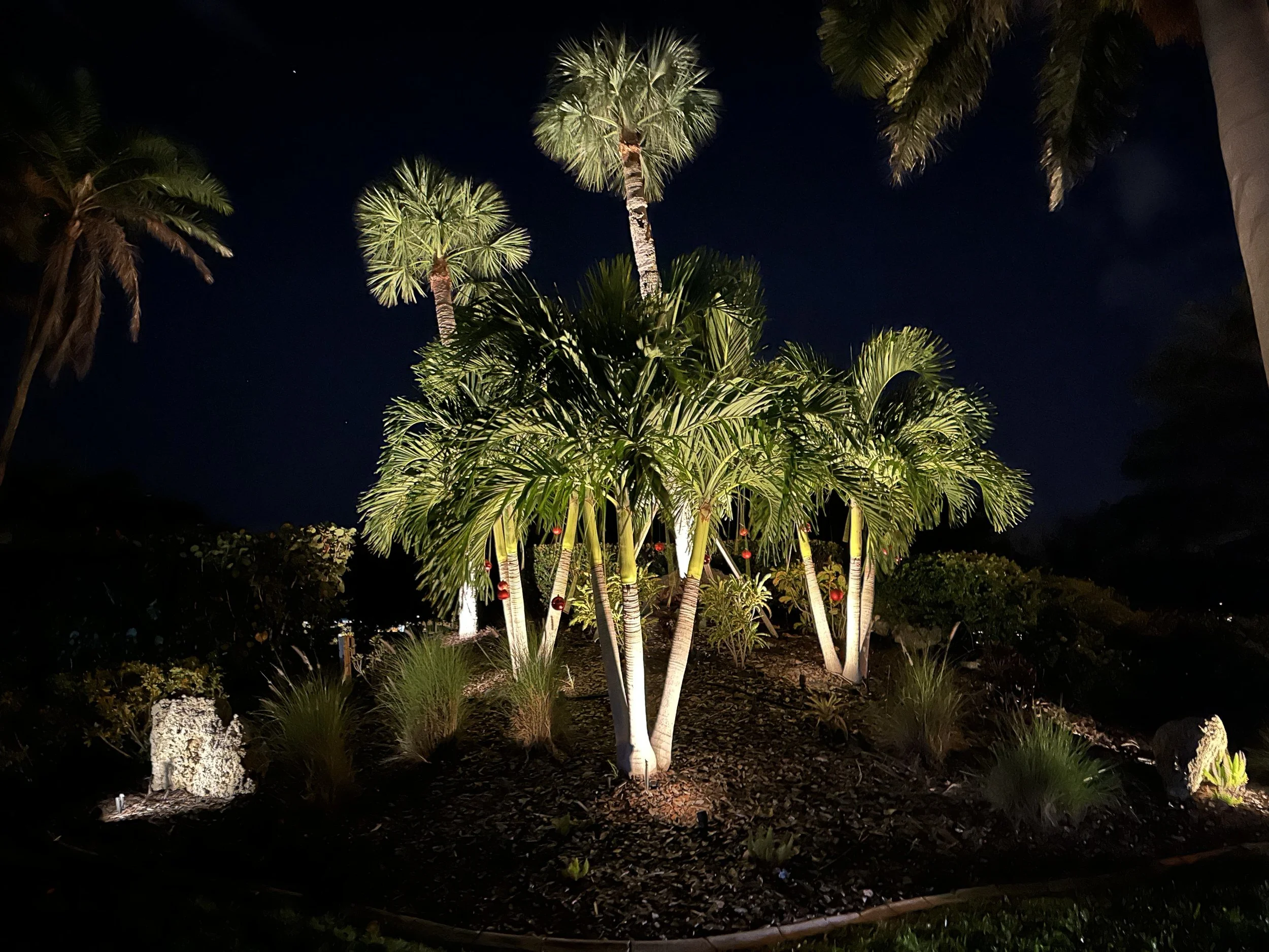 Christmas Decorations 2025