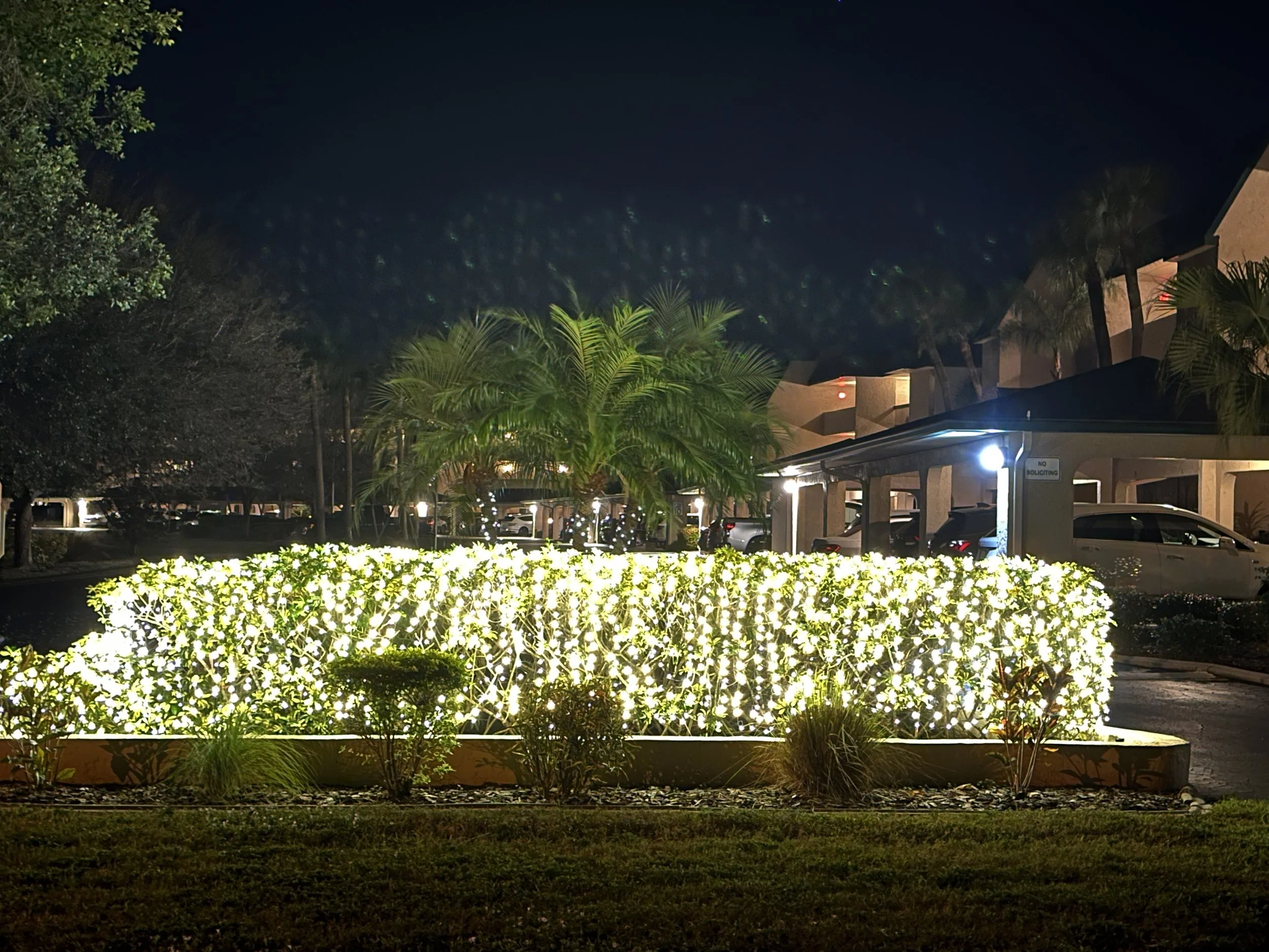 Christmas Decorations 2025