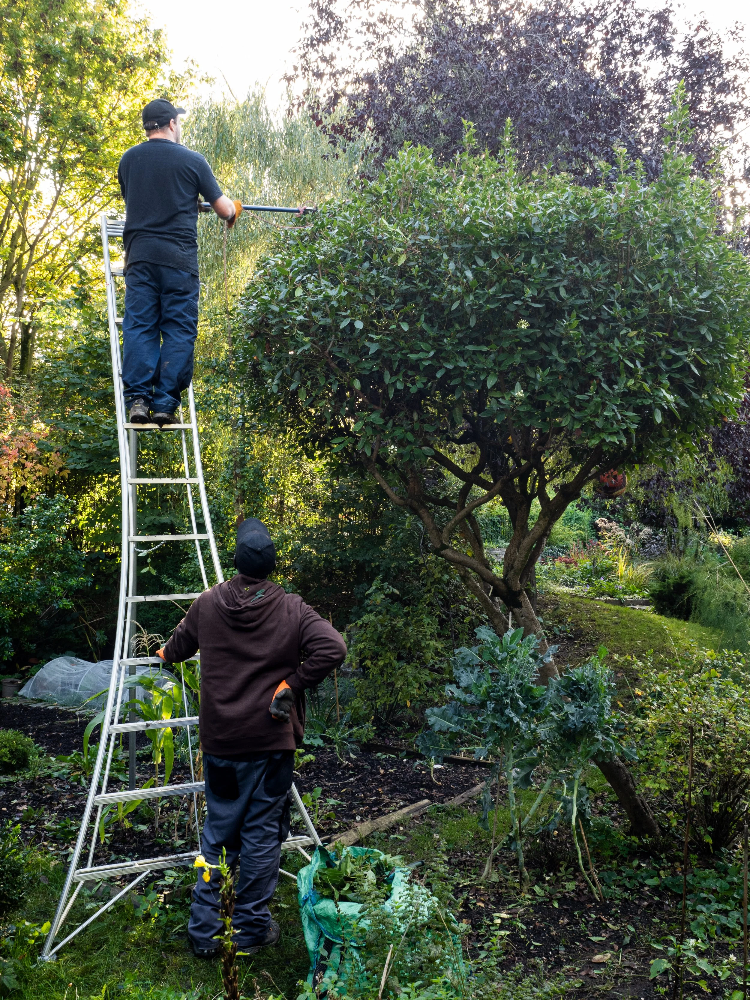 Tuesday Open Volunteering 