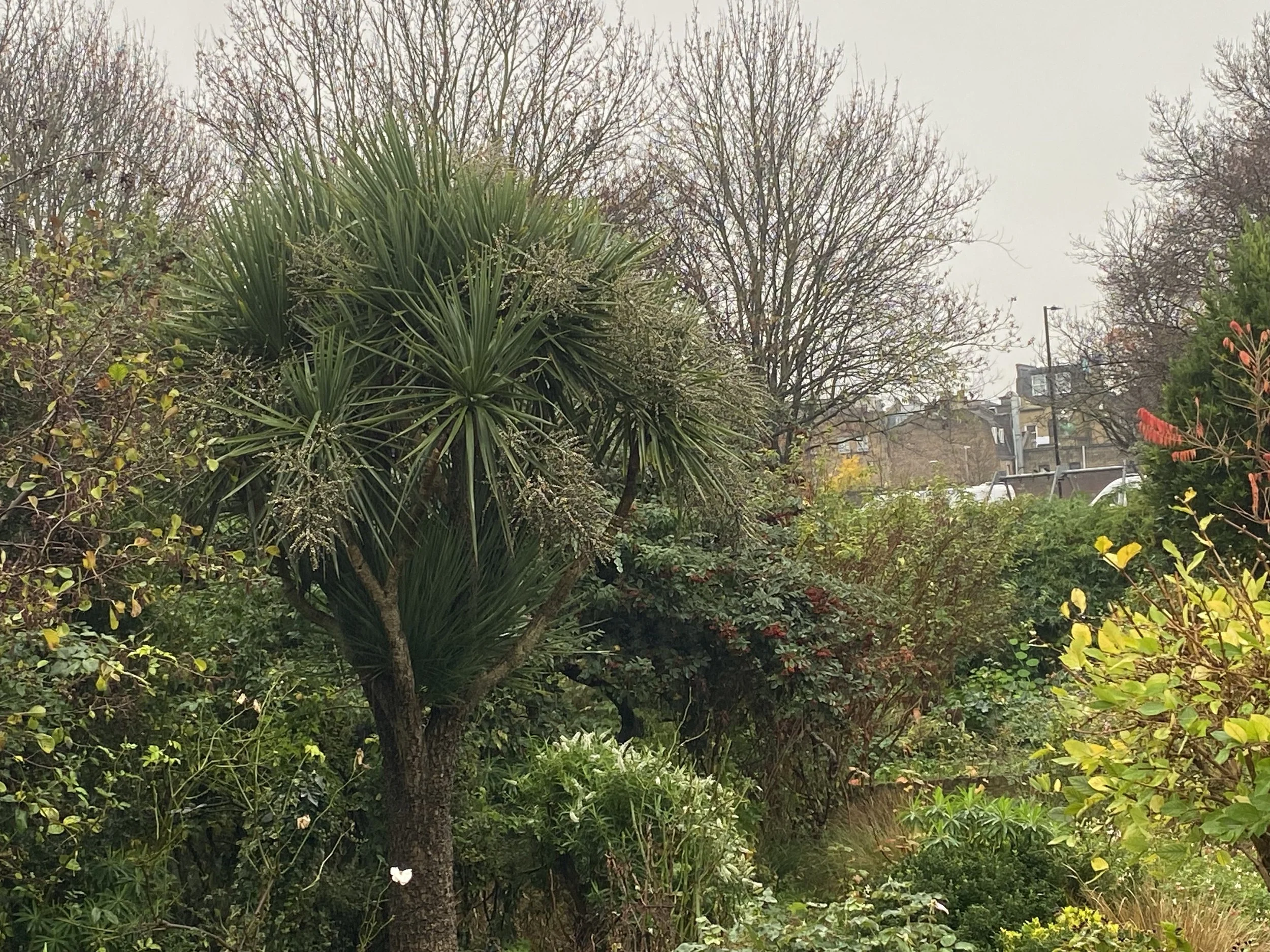 Friday Open Volunteering