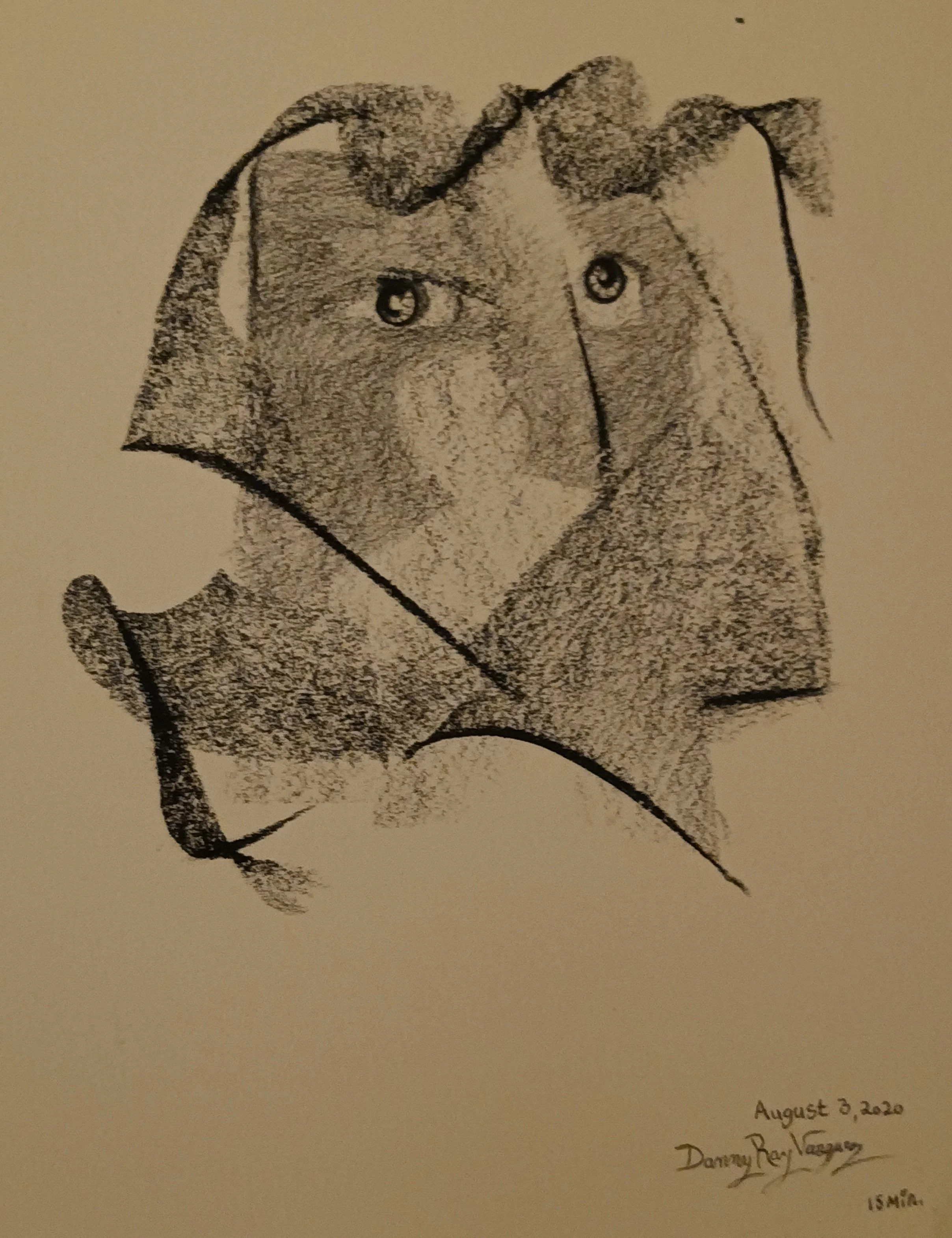 2020 | A whimsical sketch depicts a creature that resembles a fusion between a bird and a human face, with two eyes set into what seems like a beak-like structure. Bold lines and shading give the drawing a rough, textured effect. 