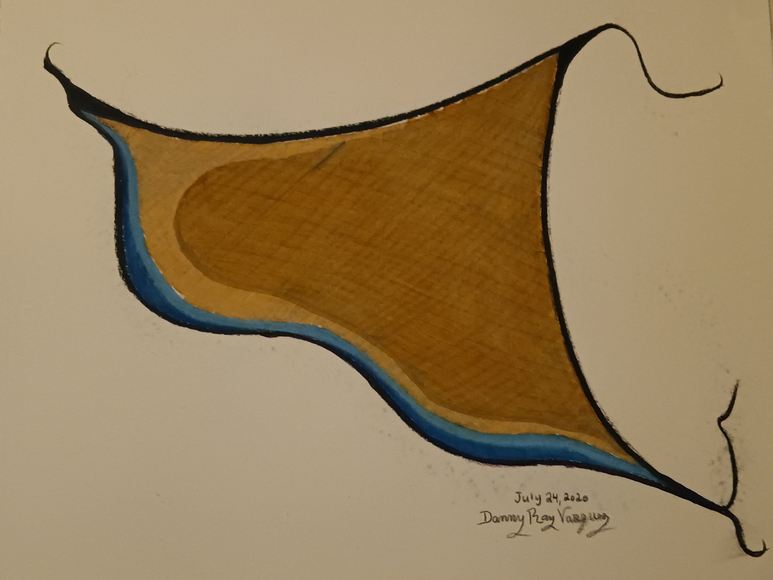 2020 | A simple yet elegant abstract drawing features a shape that resembles a stylized stingray or a dynamic cloth, with a brown central area bordered by a blue outline.