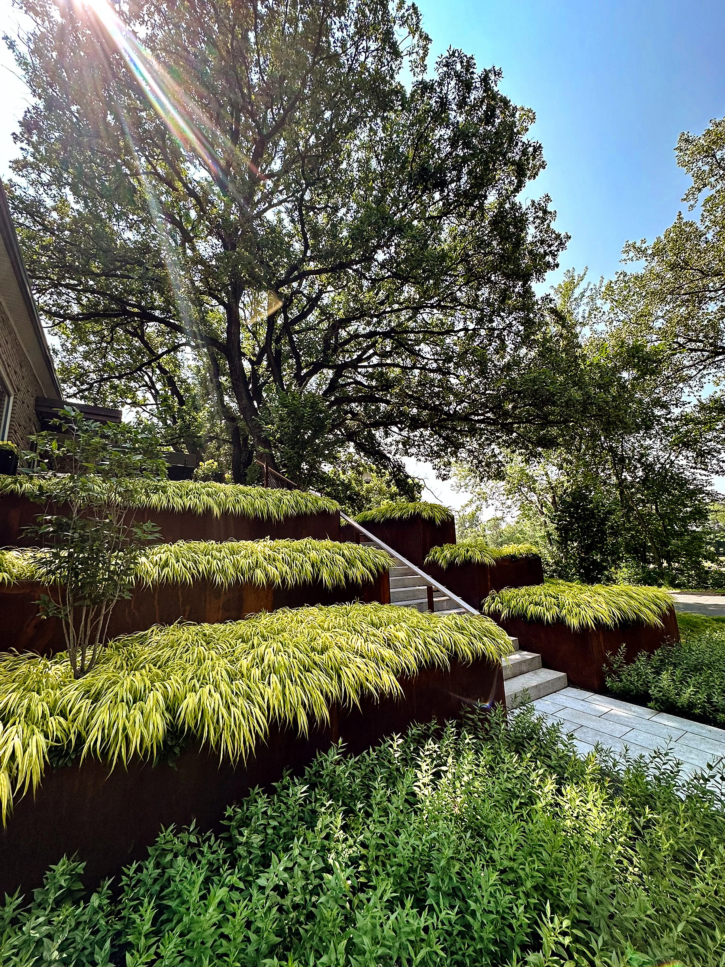 Mellblom28ShariFlemingPhotography_web hi res.jpg