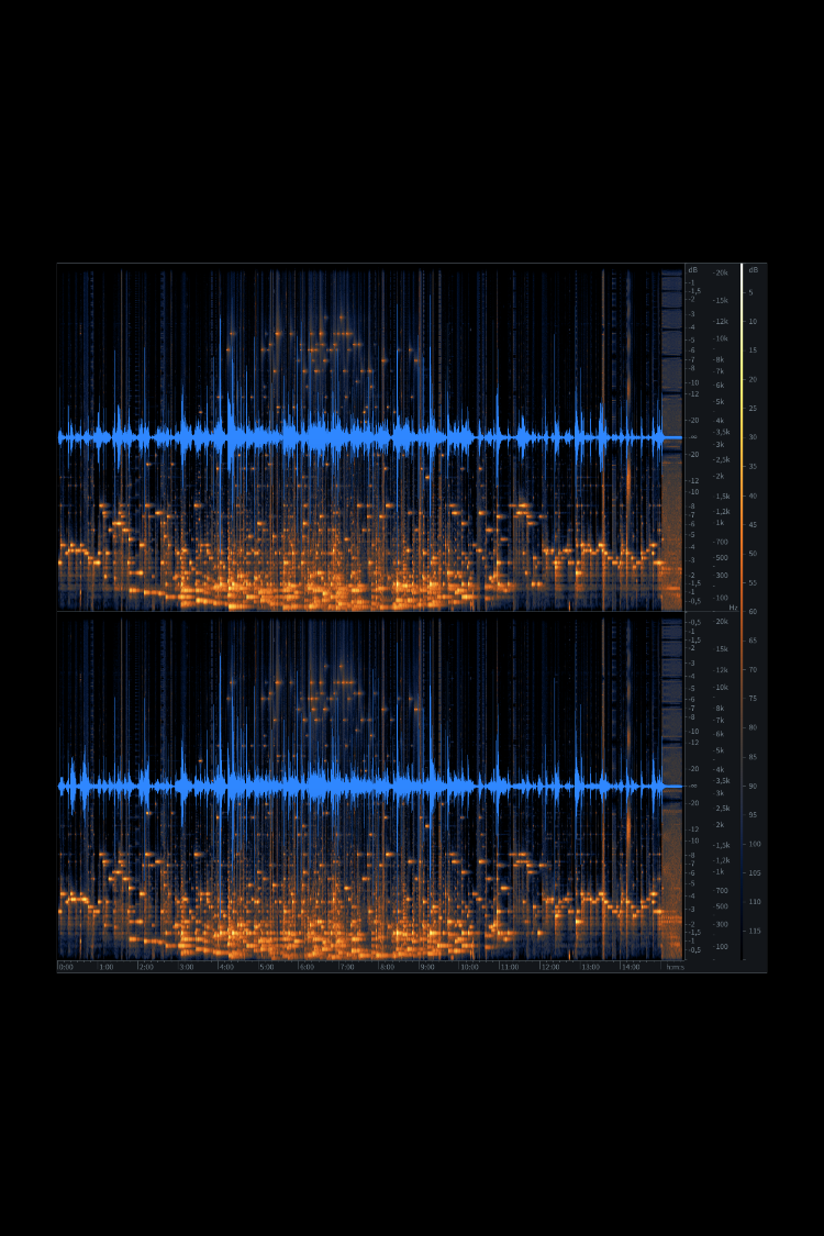 Affinity Designer_Squarespace Cover.png