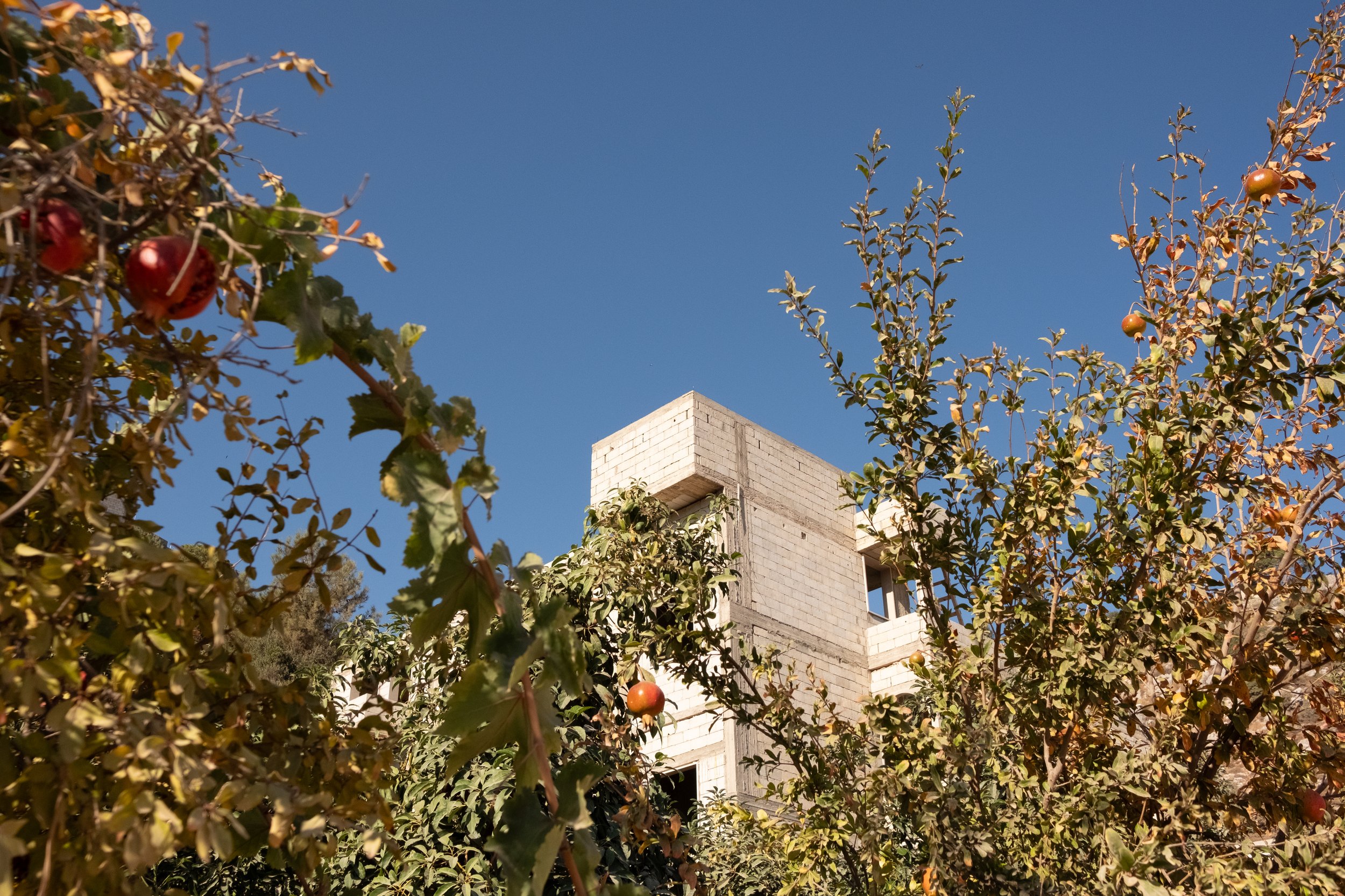 DSCF1584.jpg