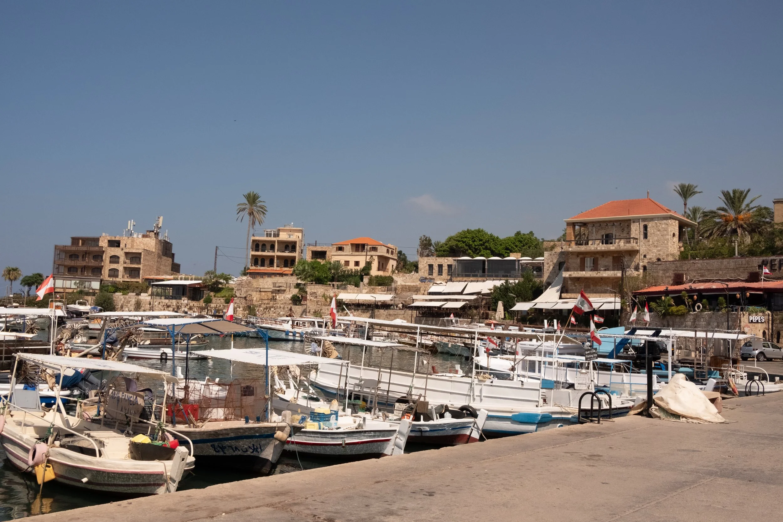DSCF1615.jpg