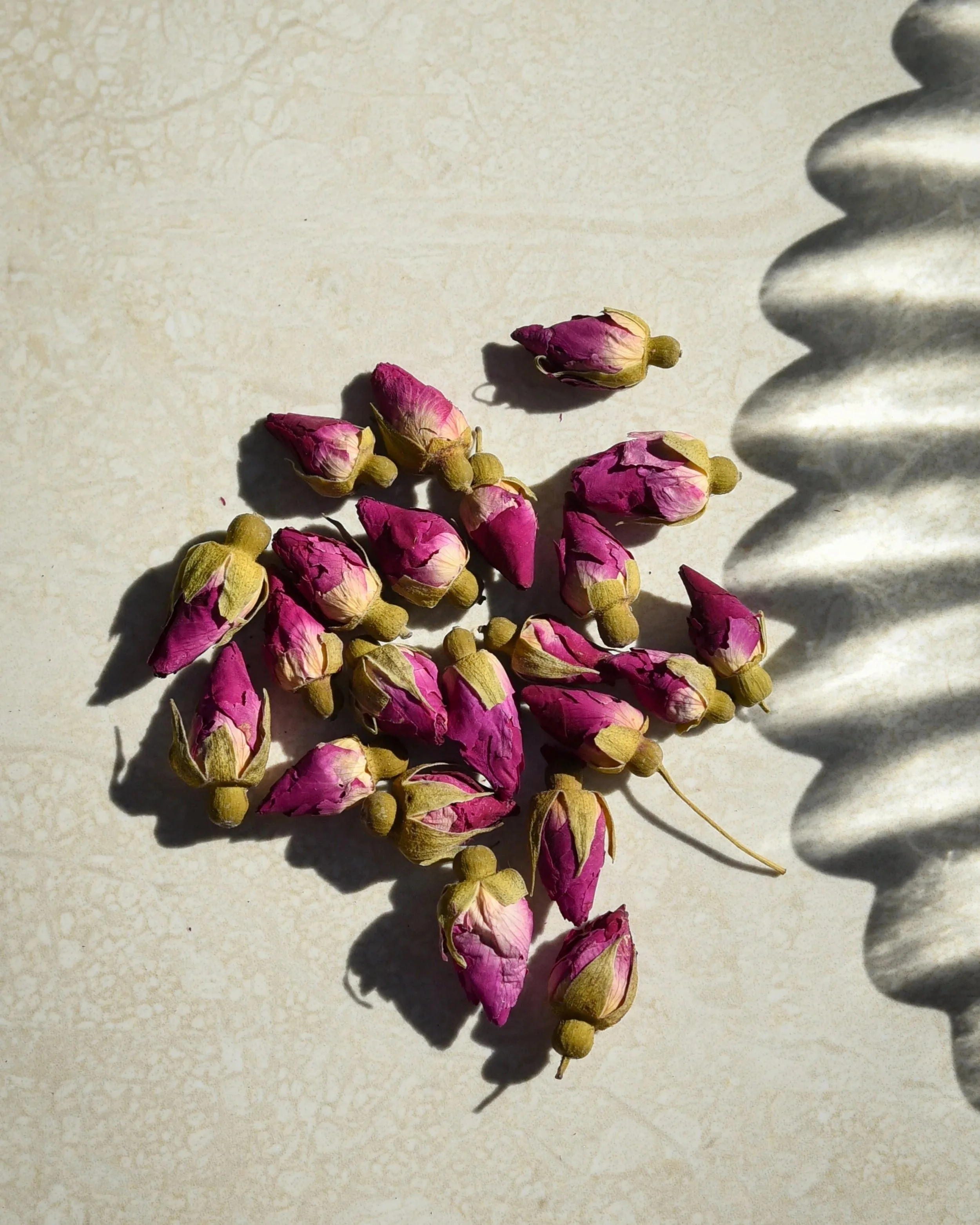 Dry pink rosebuds scattered on a light-colored surface with a painted shadow to the right side.