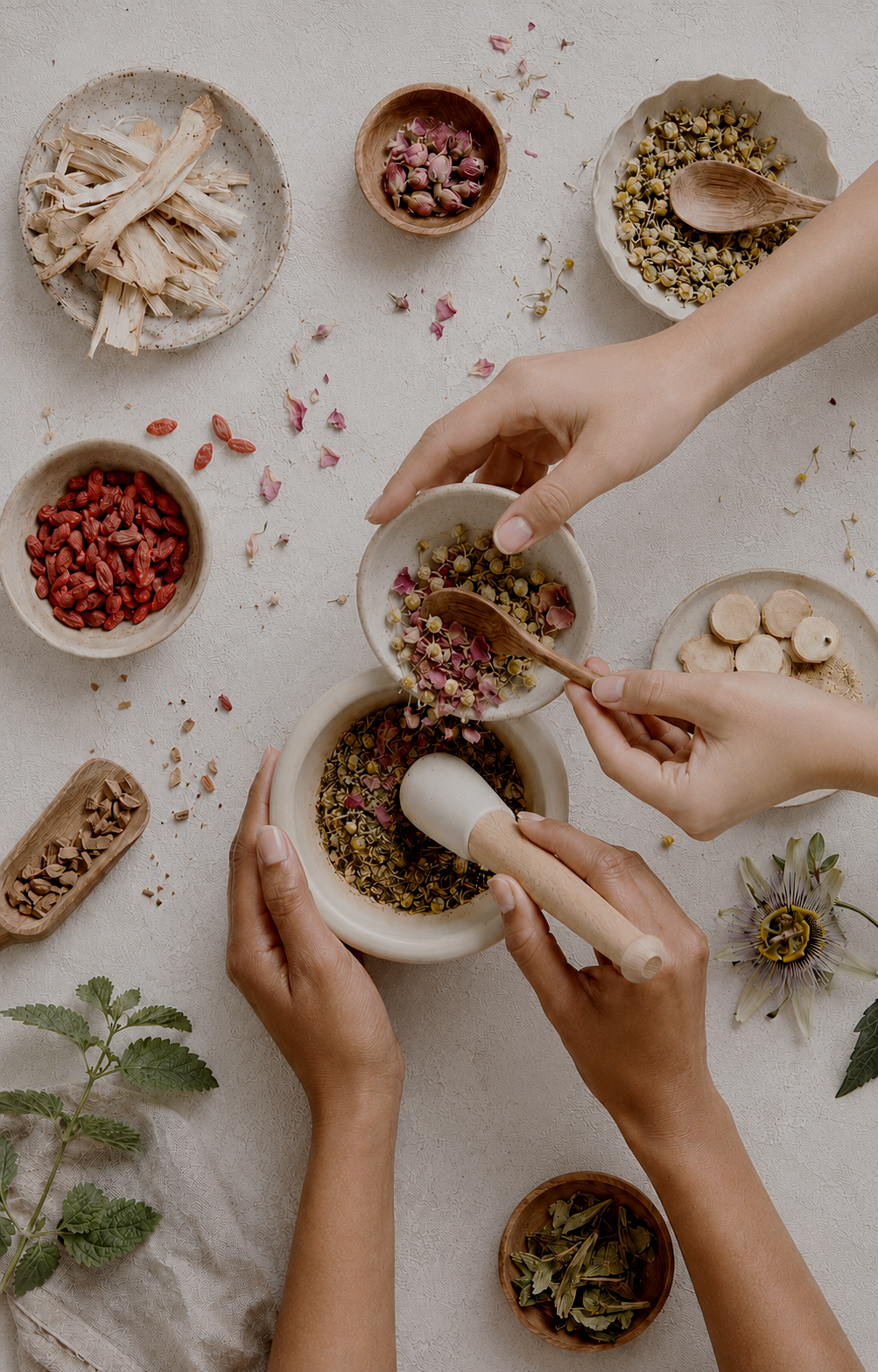 female herbalists co-creating together