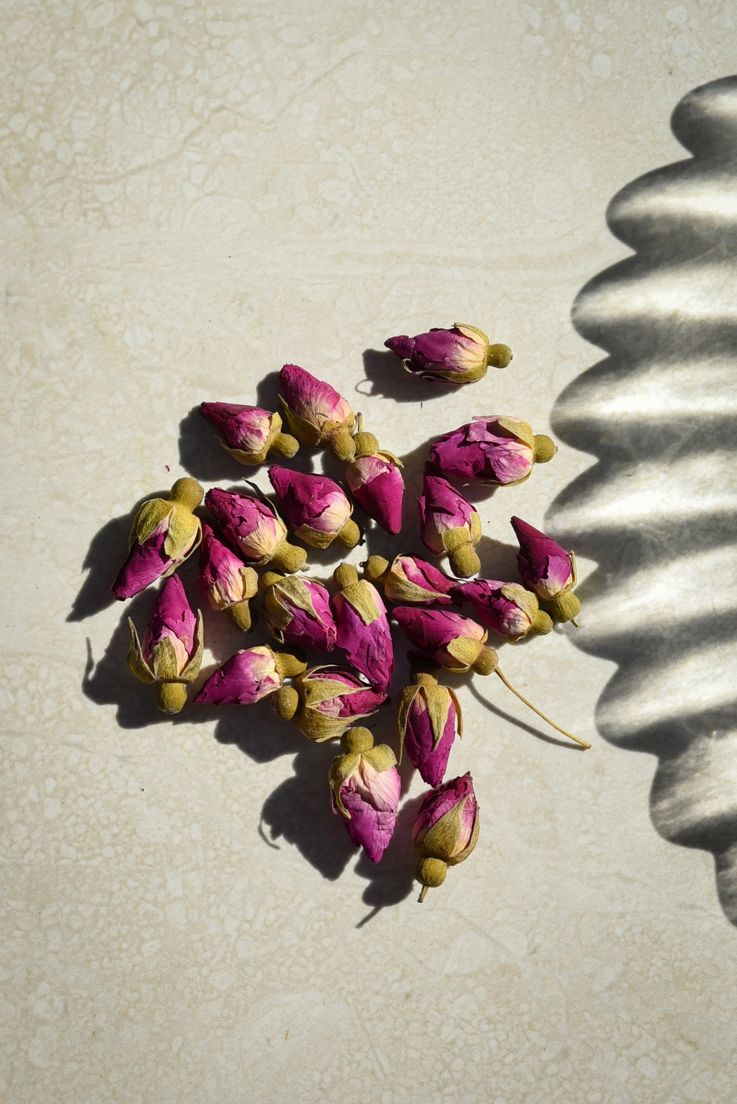 pink rosebuds