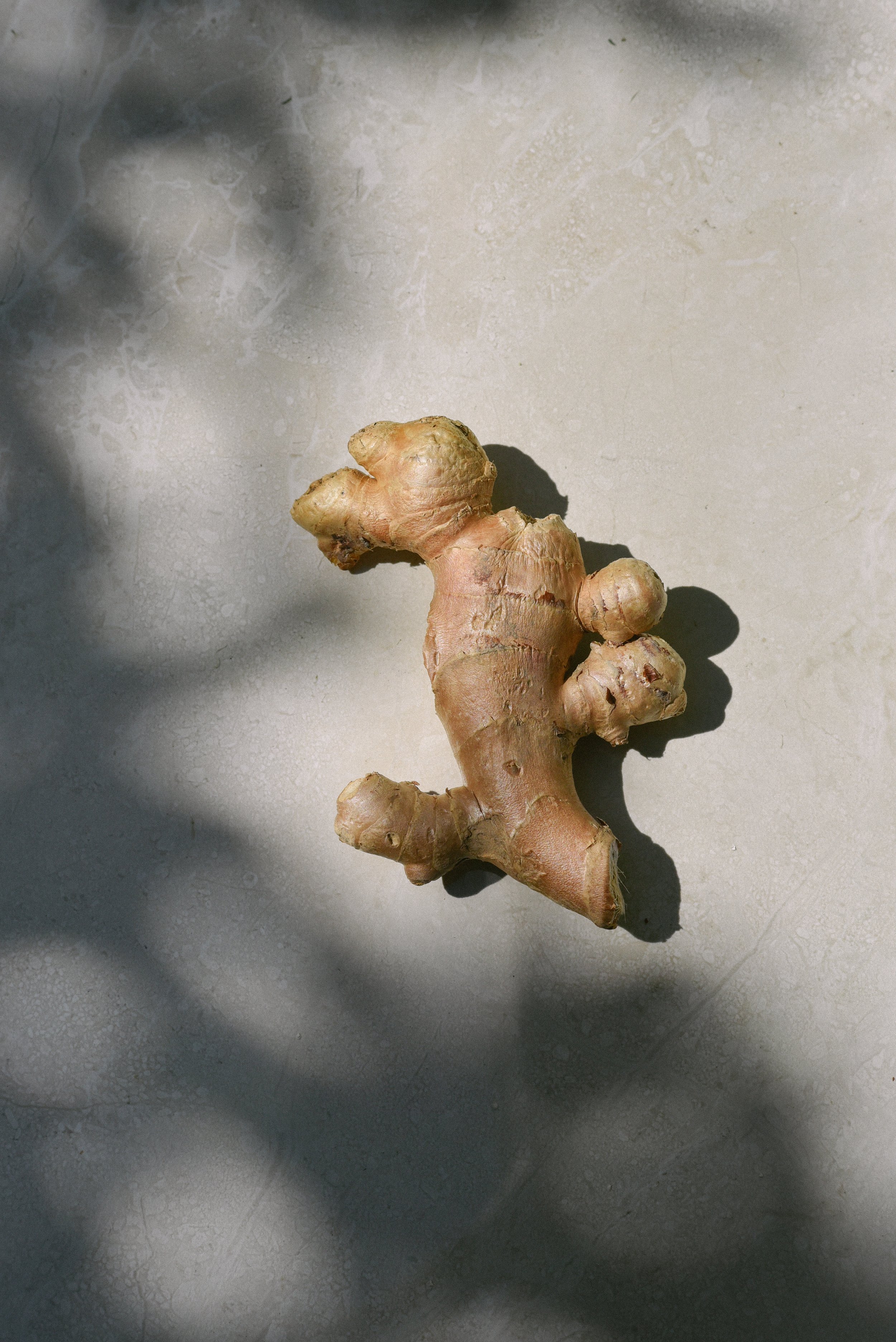 Ginger