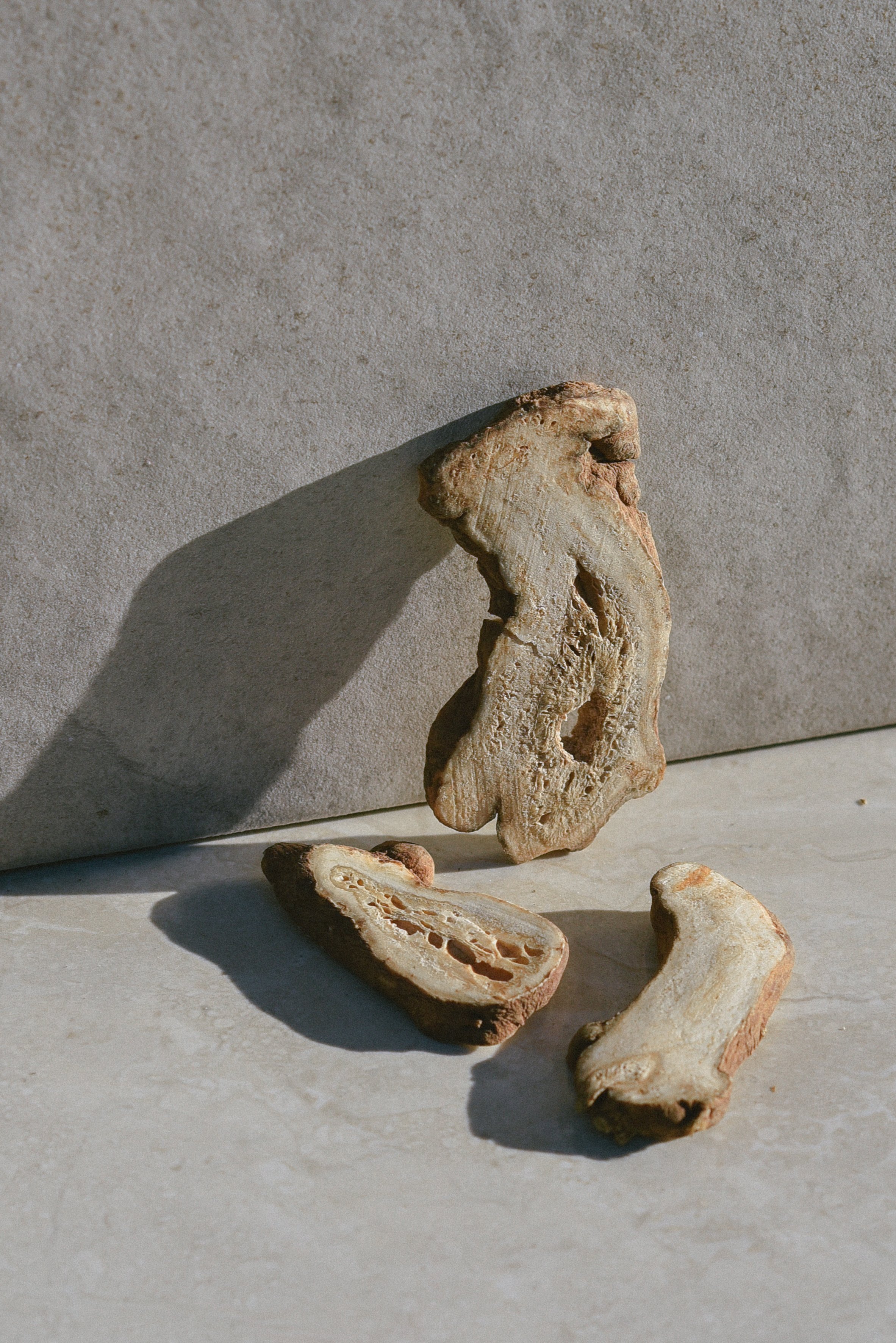 Several irregularly shaped stones with a porous, layered appearance on a light-colored surface, casting shadows in natural light.