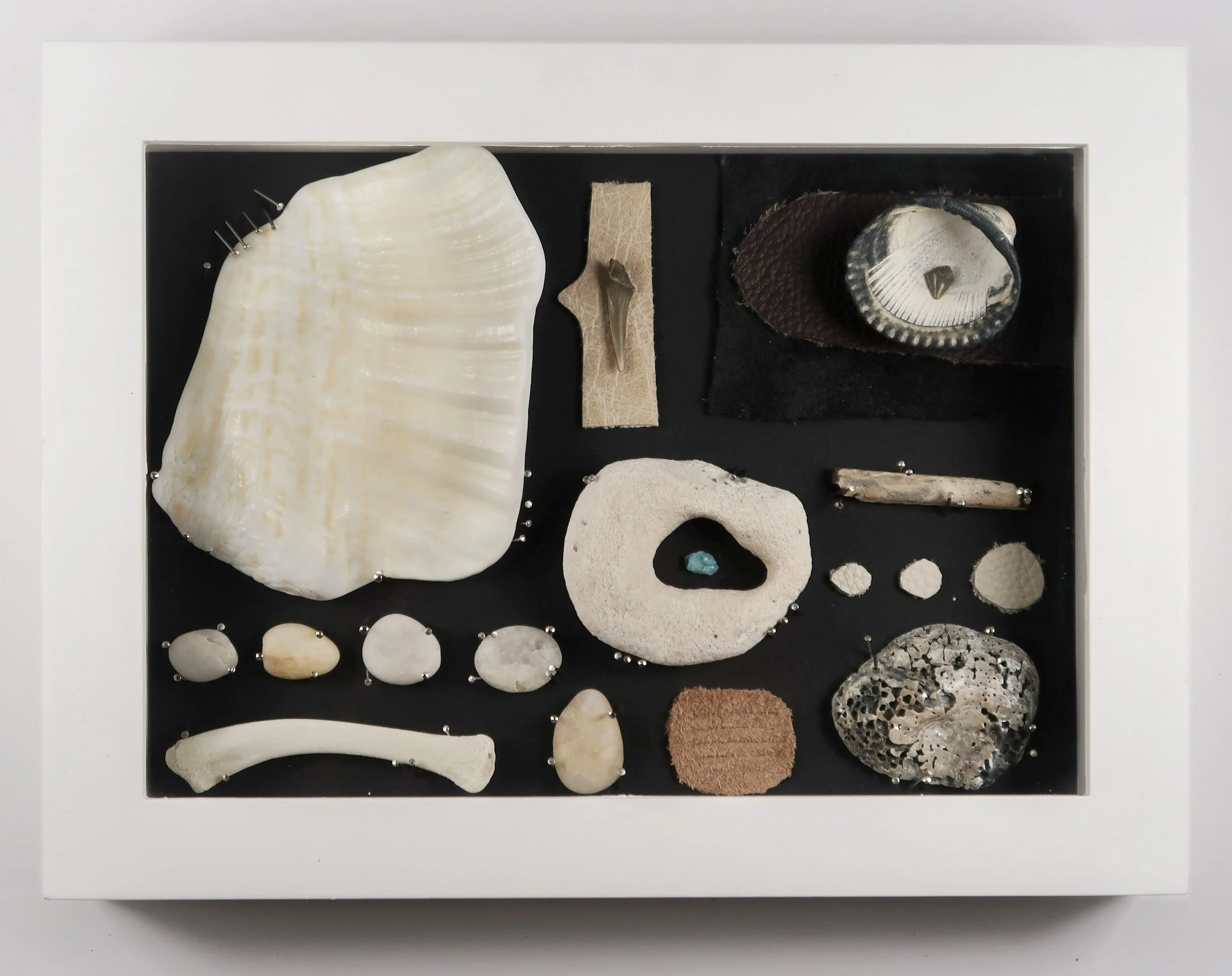 Polar 2025 Collage and assemblage of found objects 6 x 8 inches.