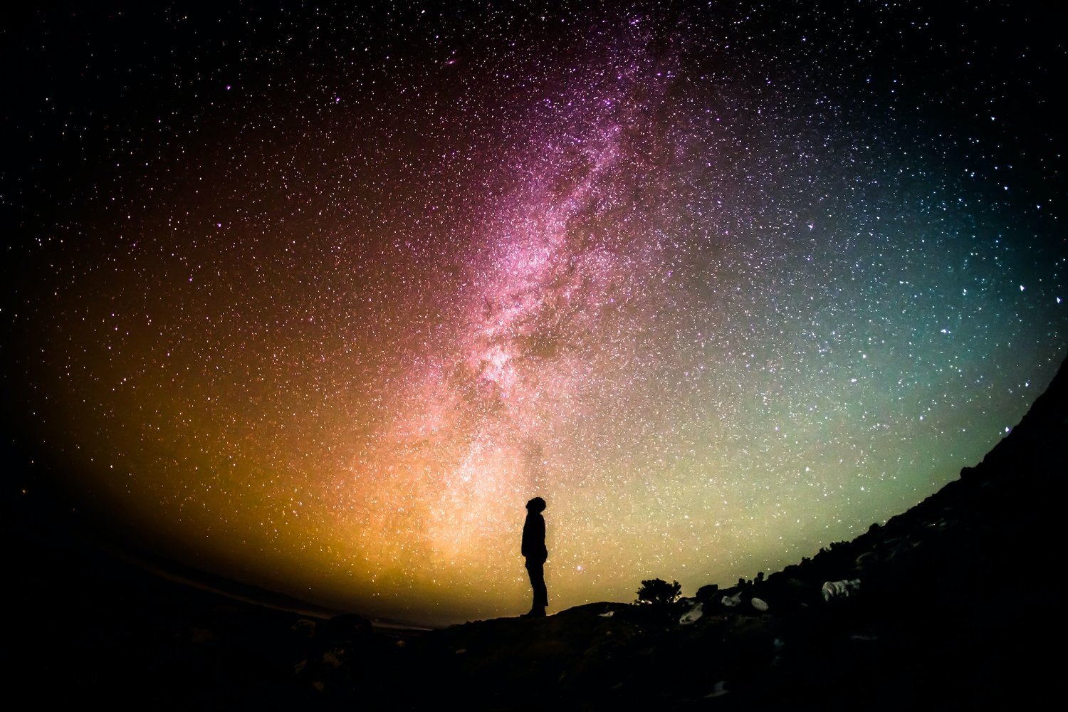 History of Psychedelics