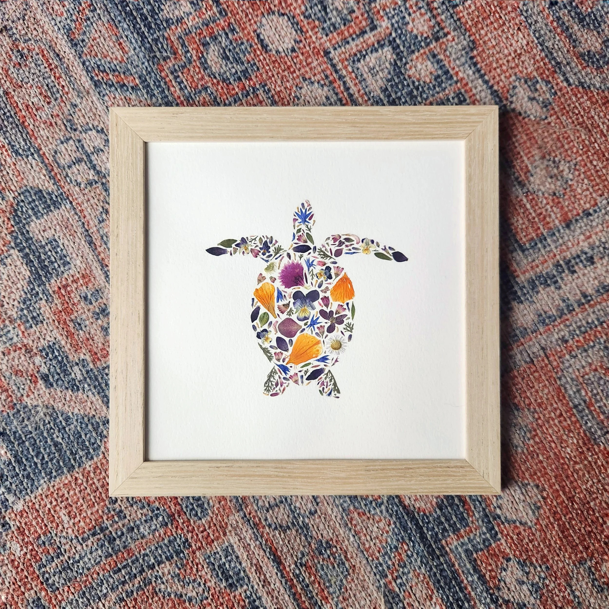 Sea Turtle