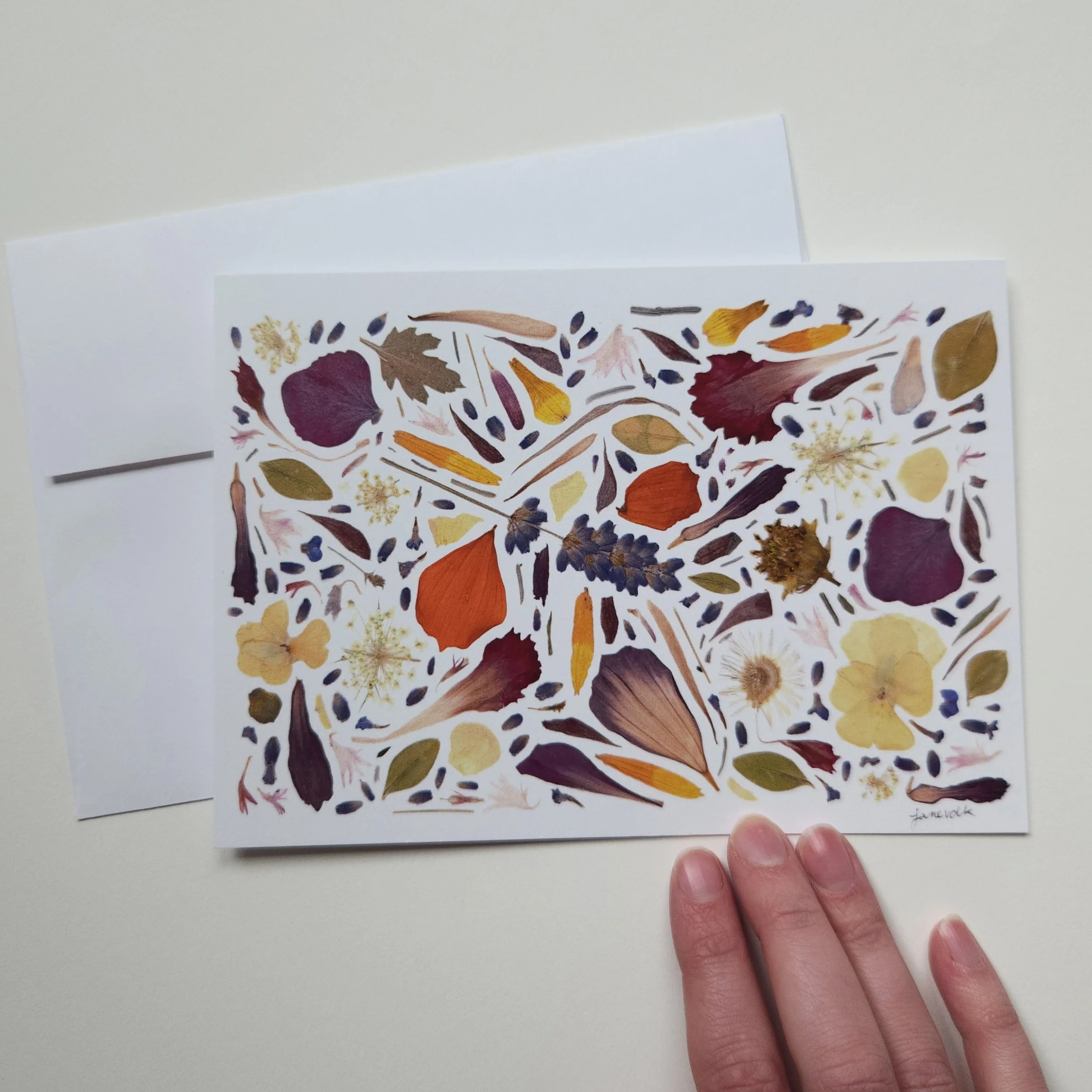Pressed Flowers - Floral Confetti - Blank Greeting Card