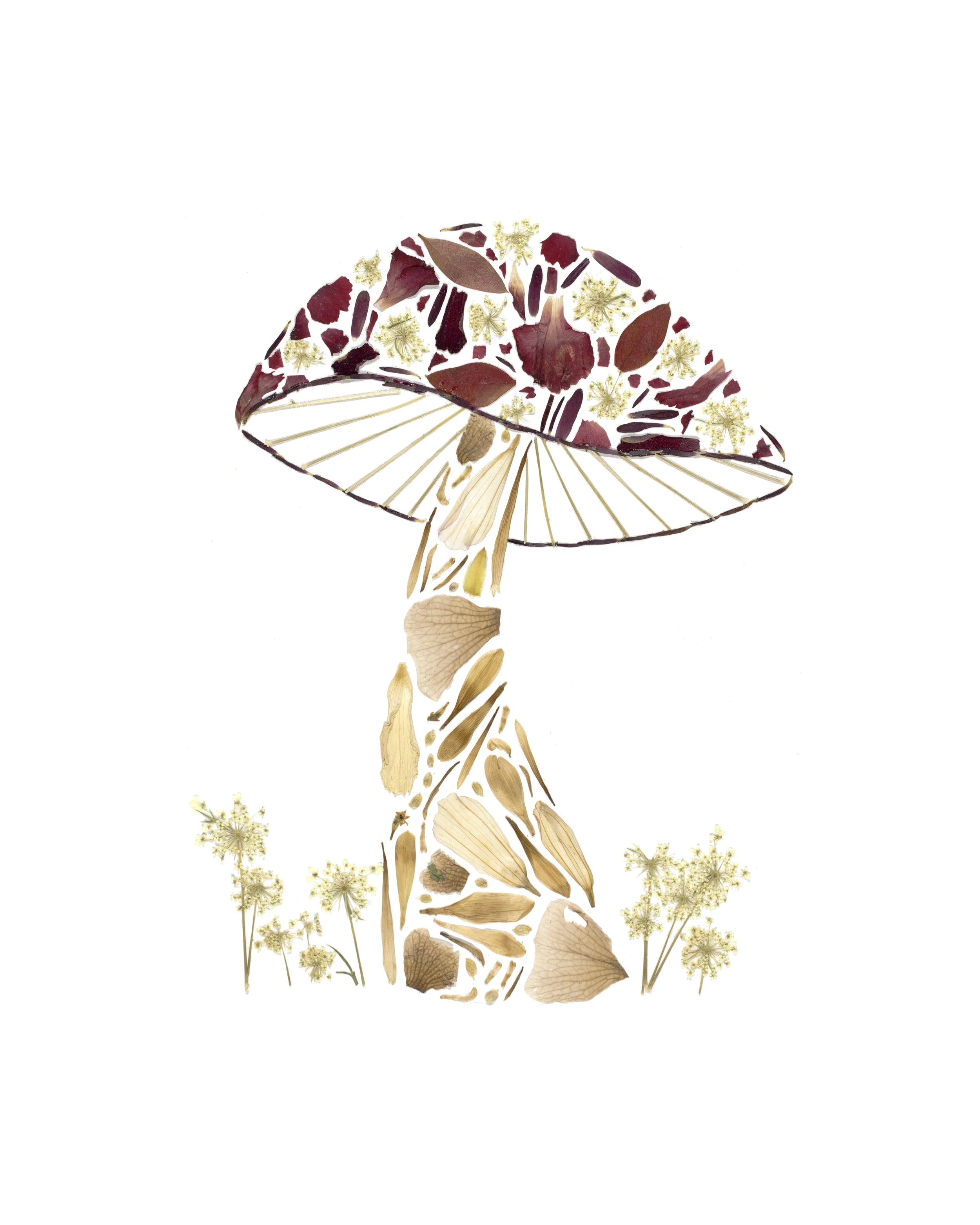 Mushroom