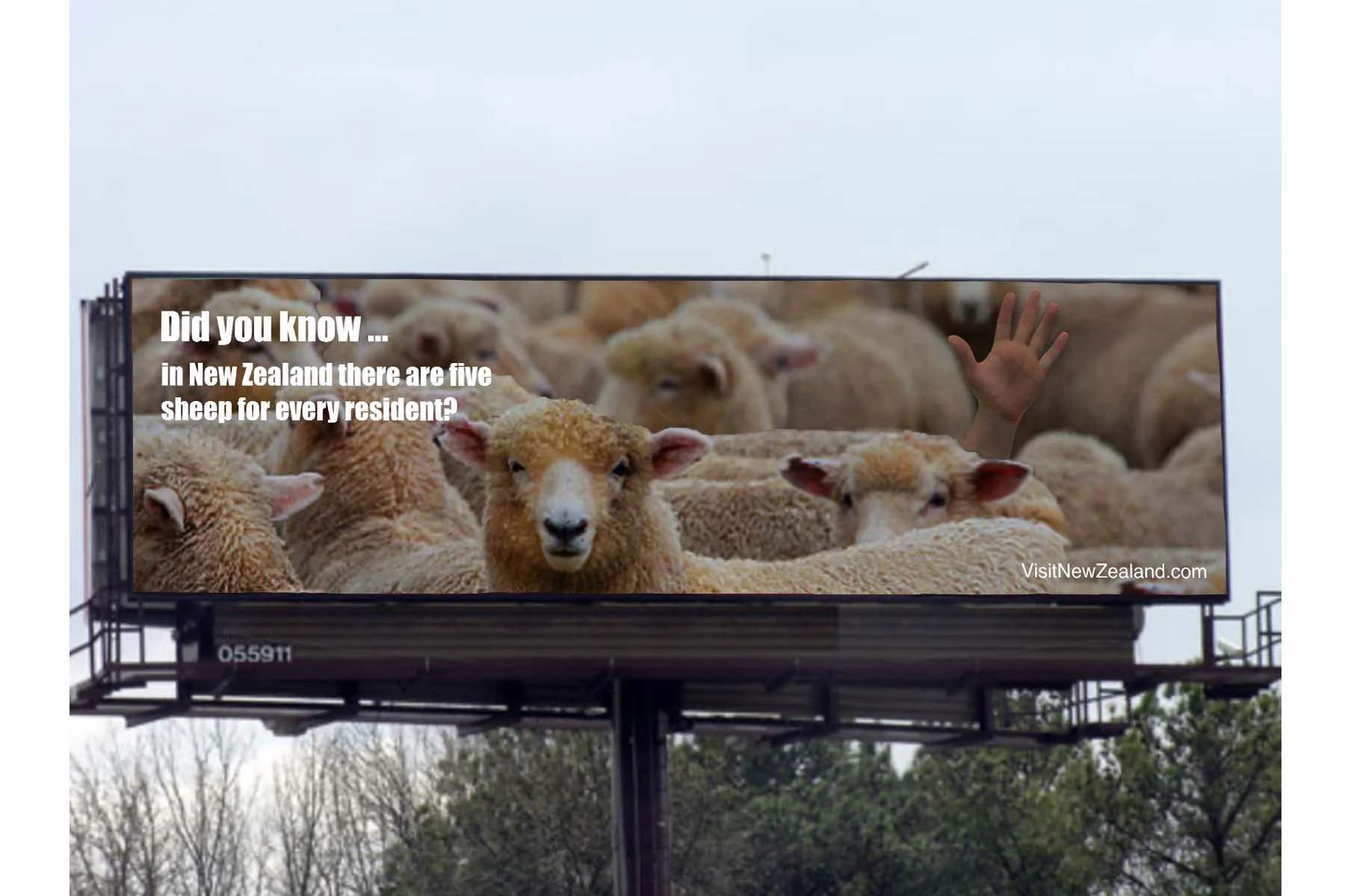 Drafted for Visit New Zealand Campaign